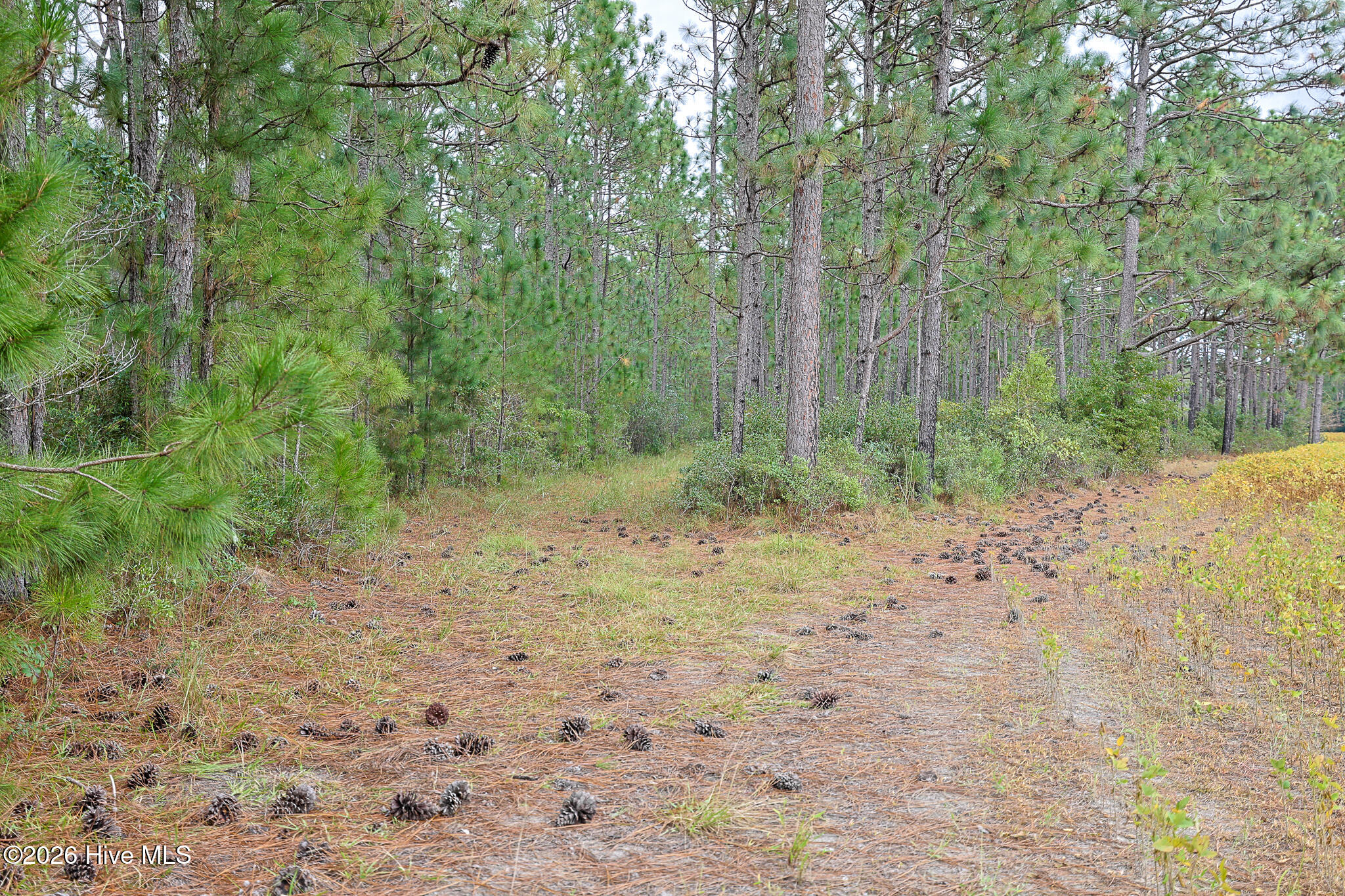 10.57 Ac Egypt Road NW