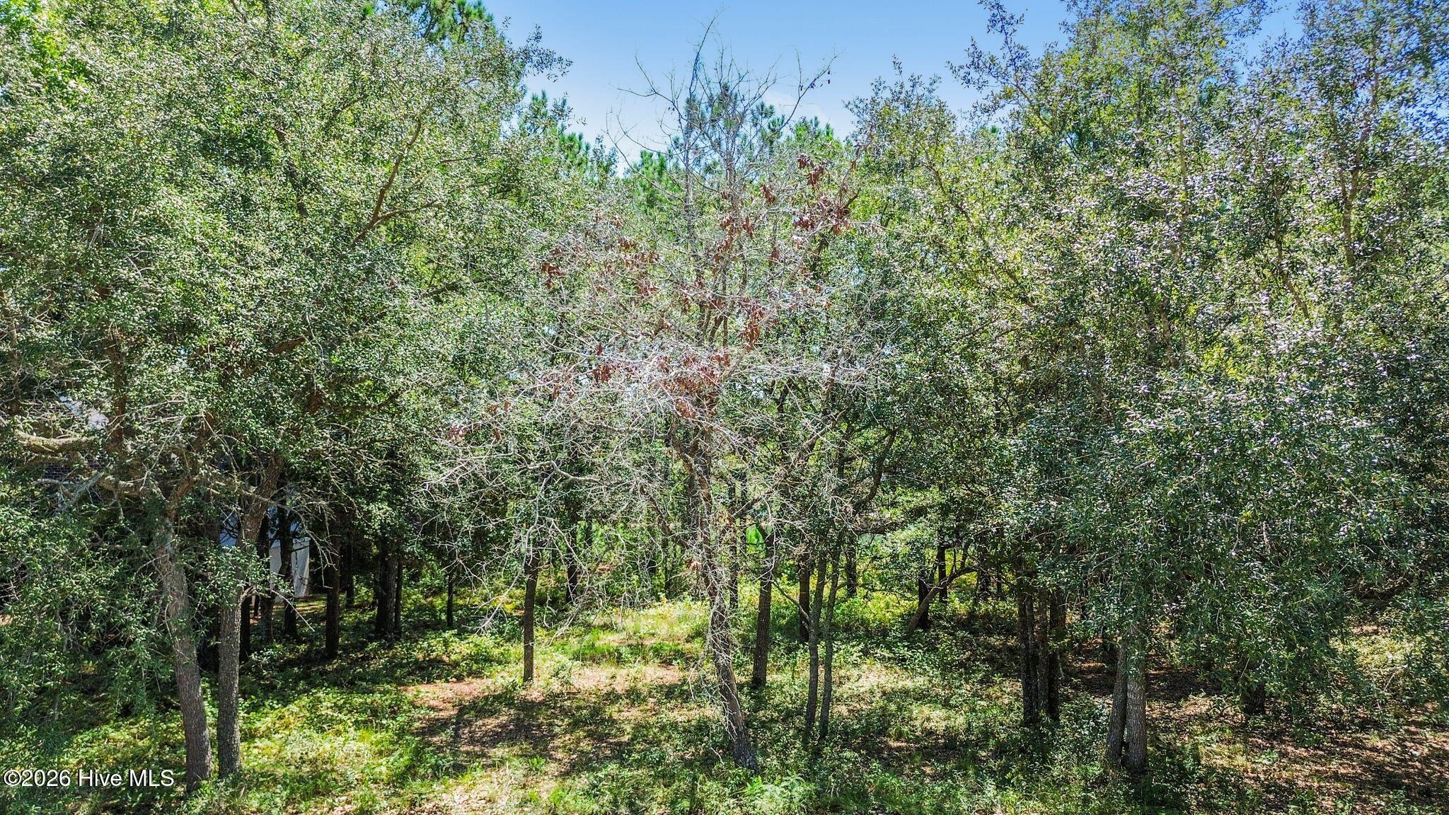 2638 54 Jessica Lane SW