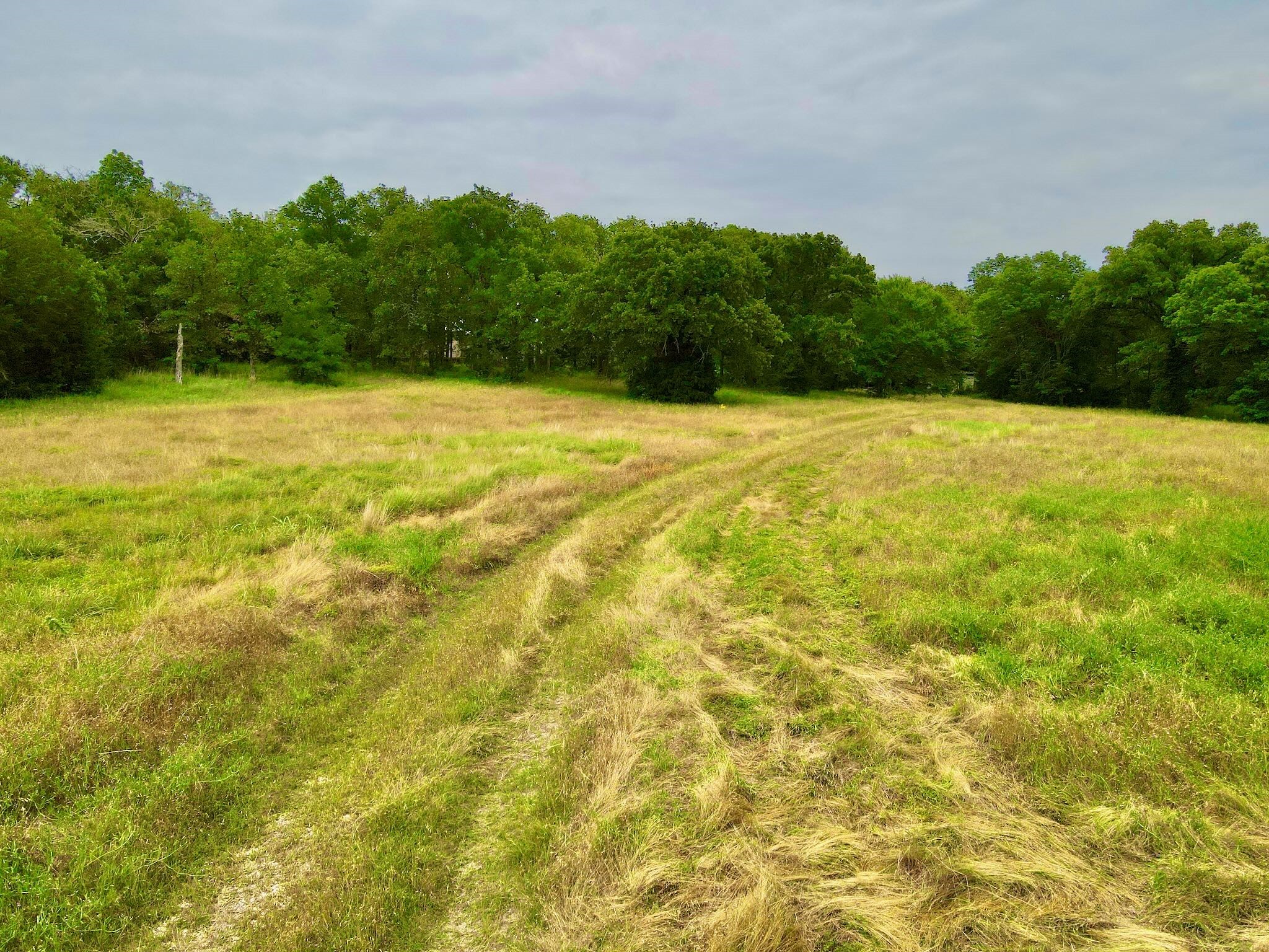 7410 SE County Road 3230a