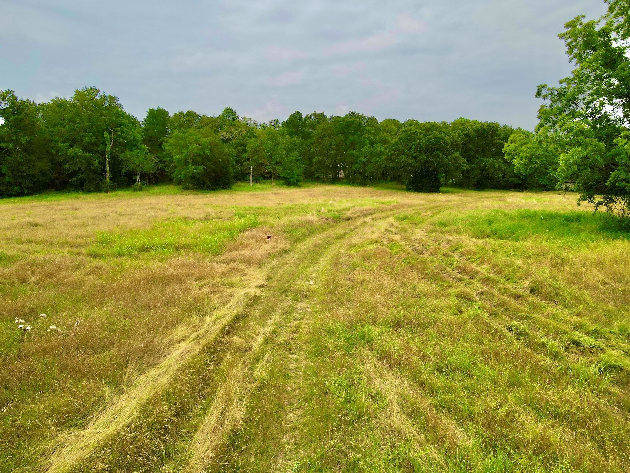 7410 SE County Road 3230a