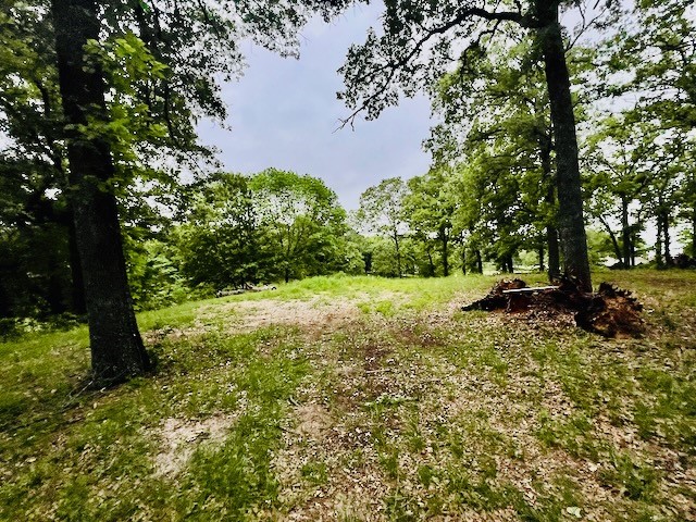 Lots 78-79 Tall Oaks Drive