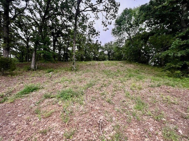 Lots 78-79 Tall Oaks Drive