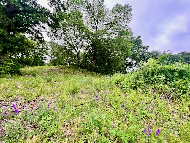 Lots 78-79 Tall Oaks Drive