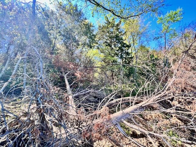 Lot 5 Hidden Oaks Lane