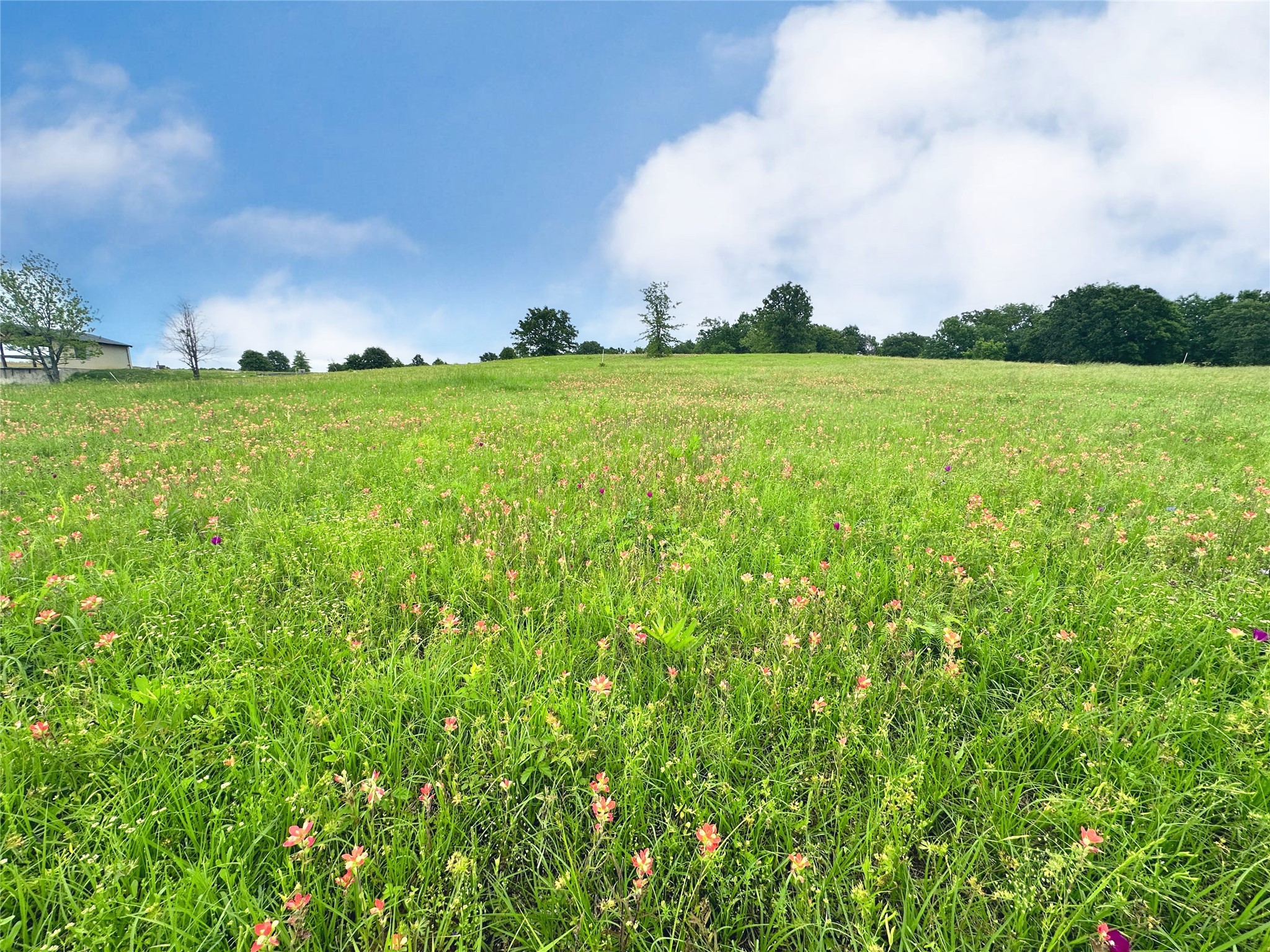 Lot 71 Paradise Cove