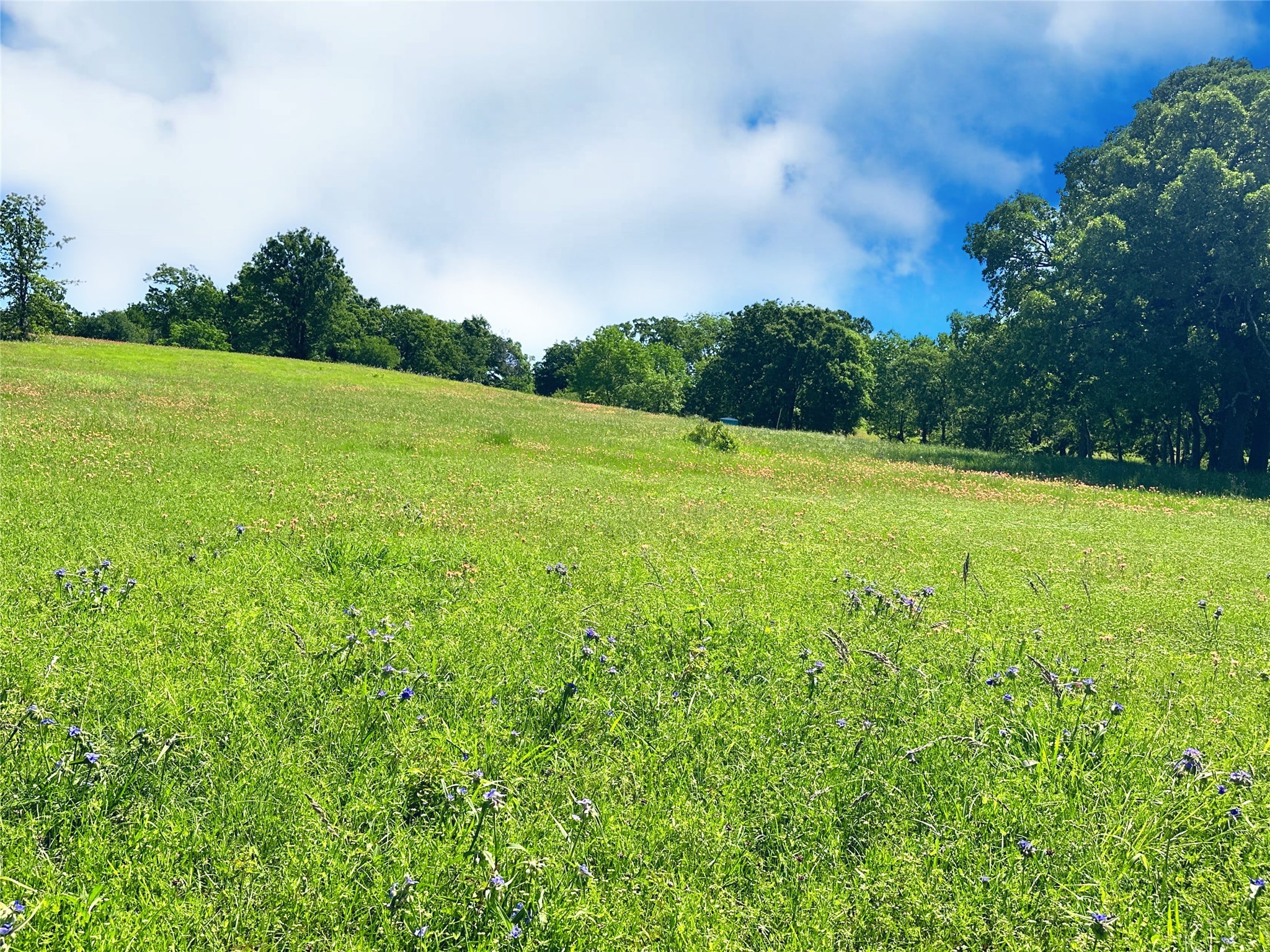 Lot 71 Paradise Cove