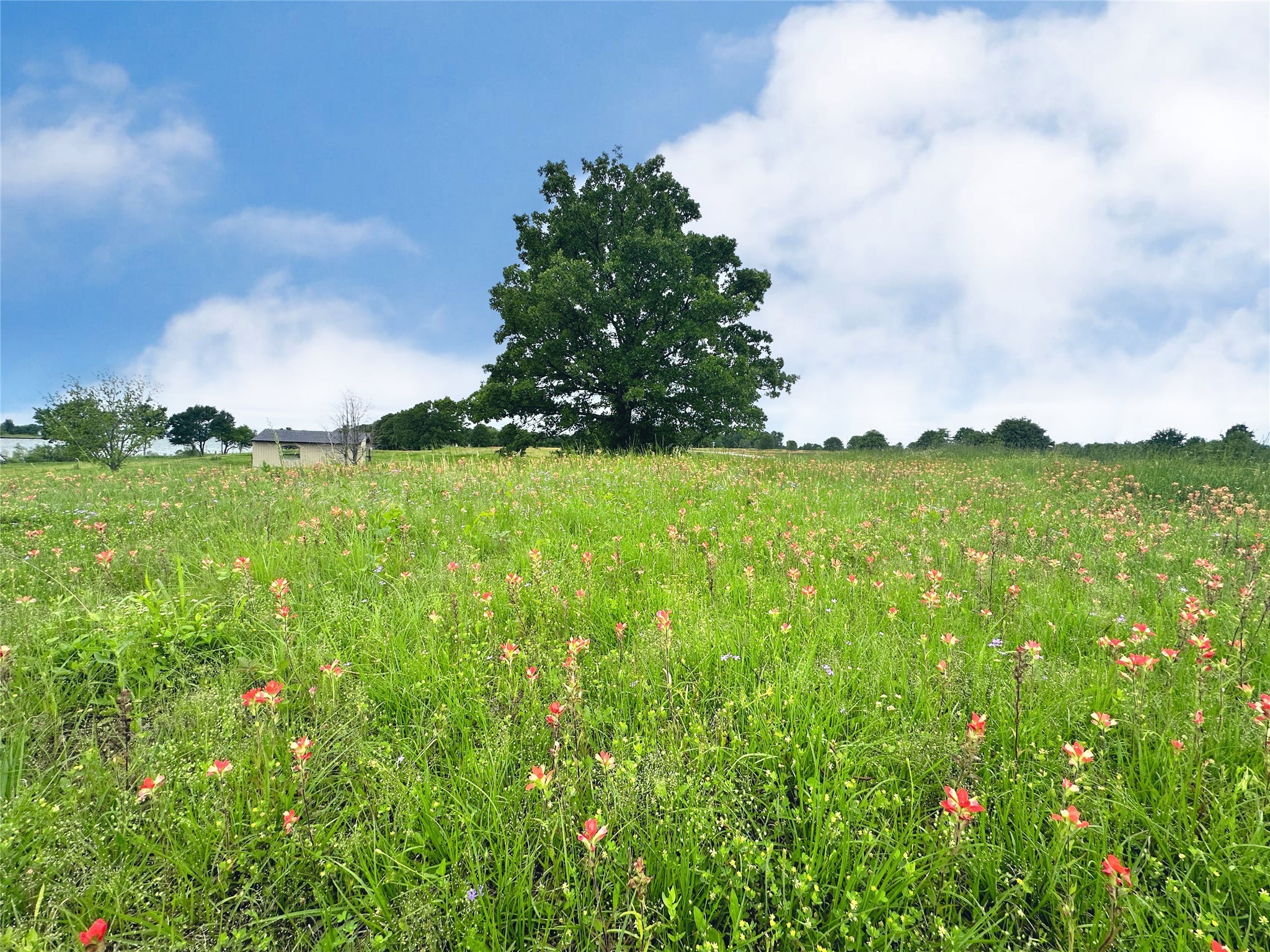 Lot 71 Paradise Cove