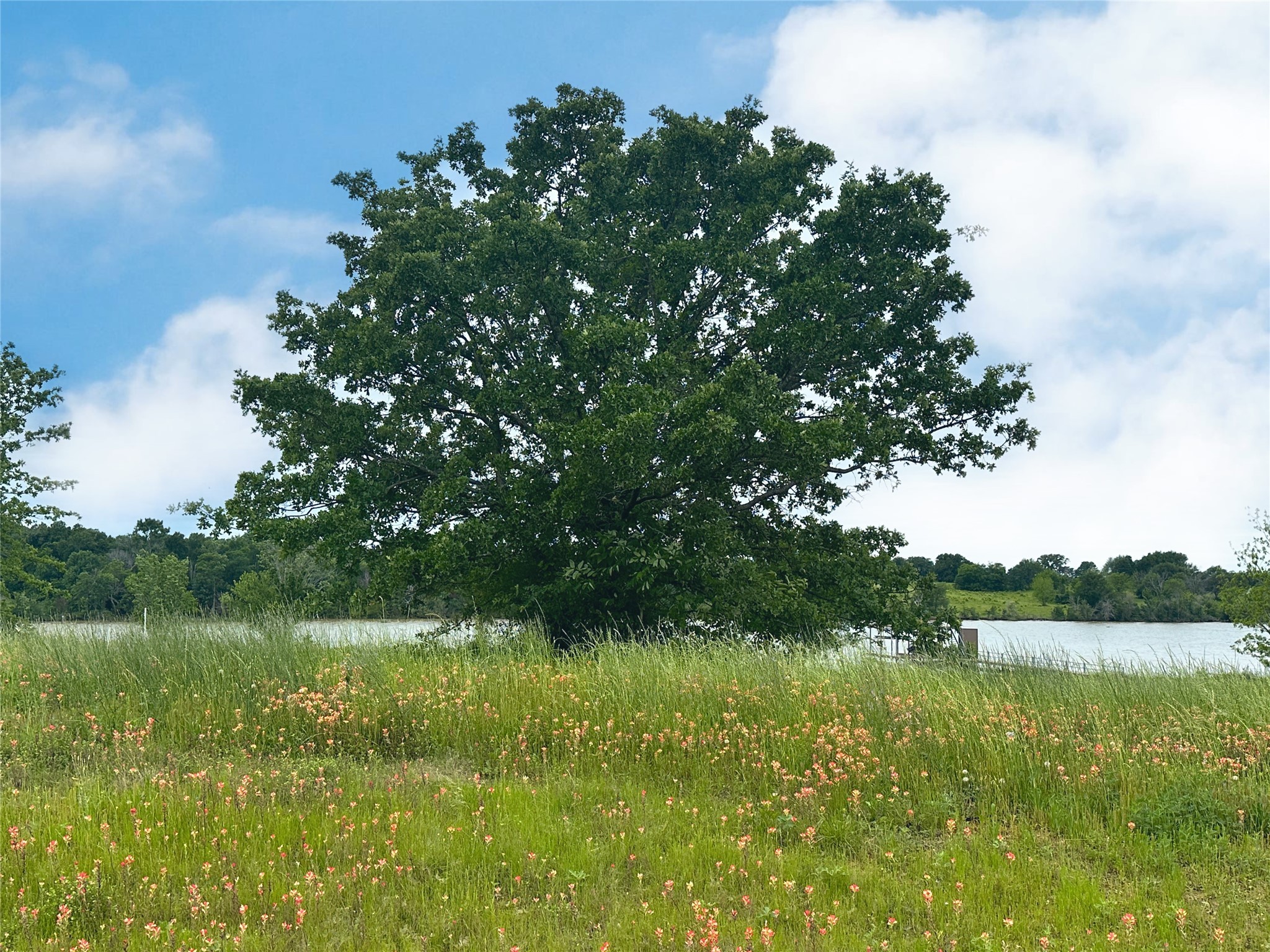 Lot 71 Paradise Cove