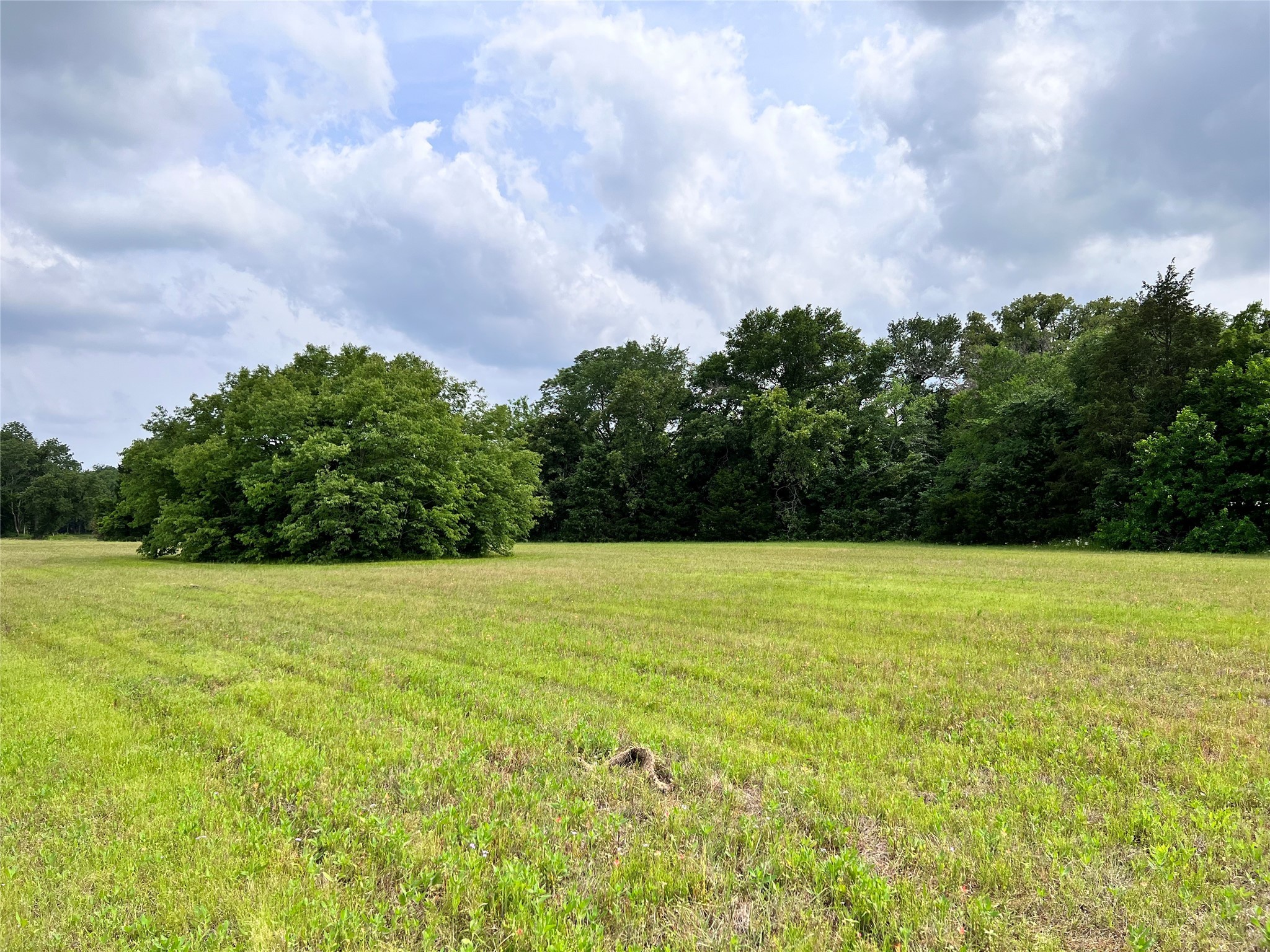 Lot 51 Canal St.