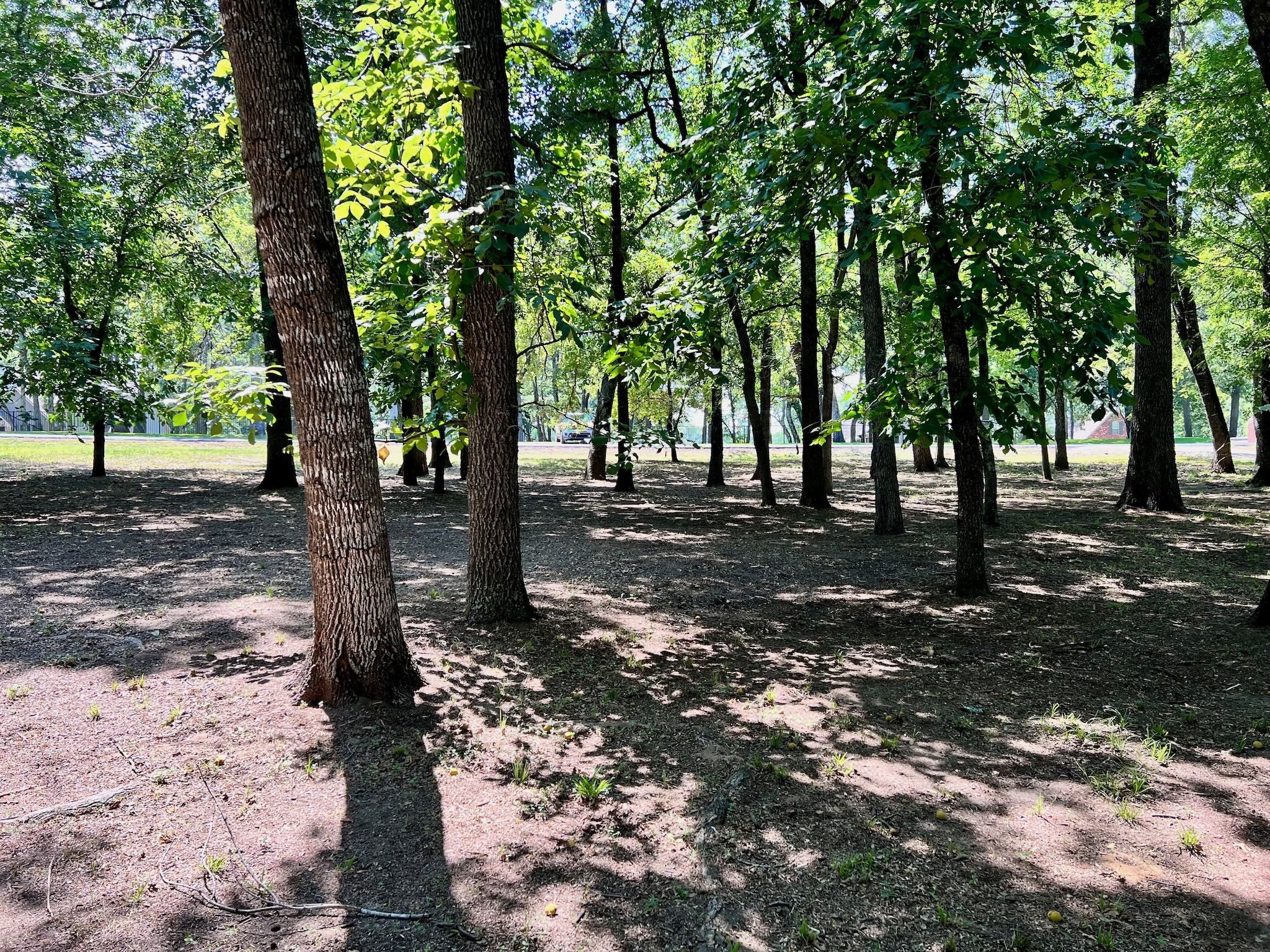 Lot 58 Stonewall Drive