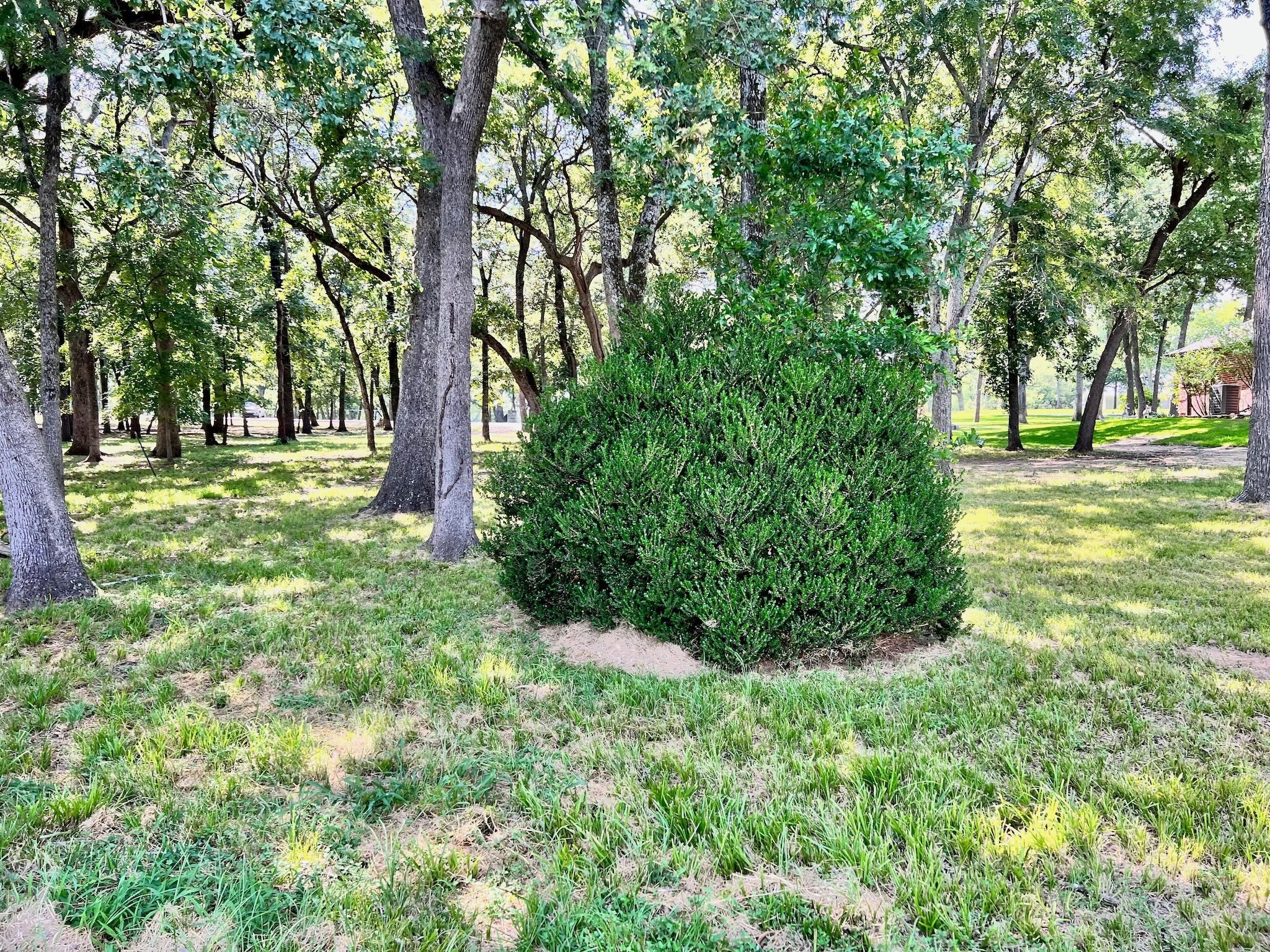 Lot 58 Stonewall Drive