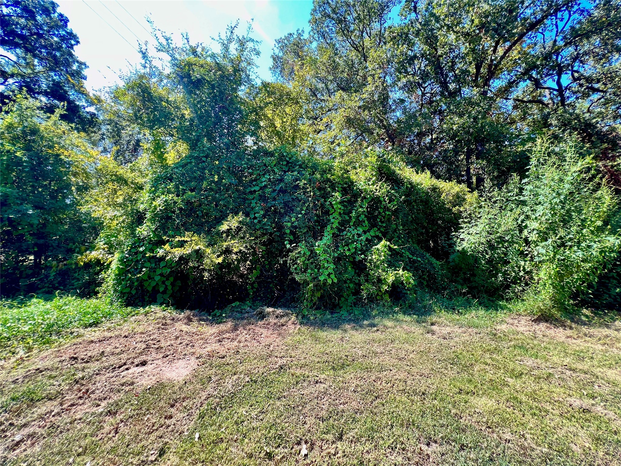 160 Pine Lane