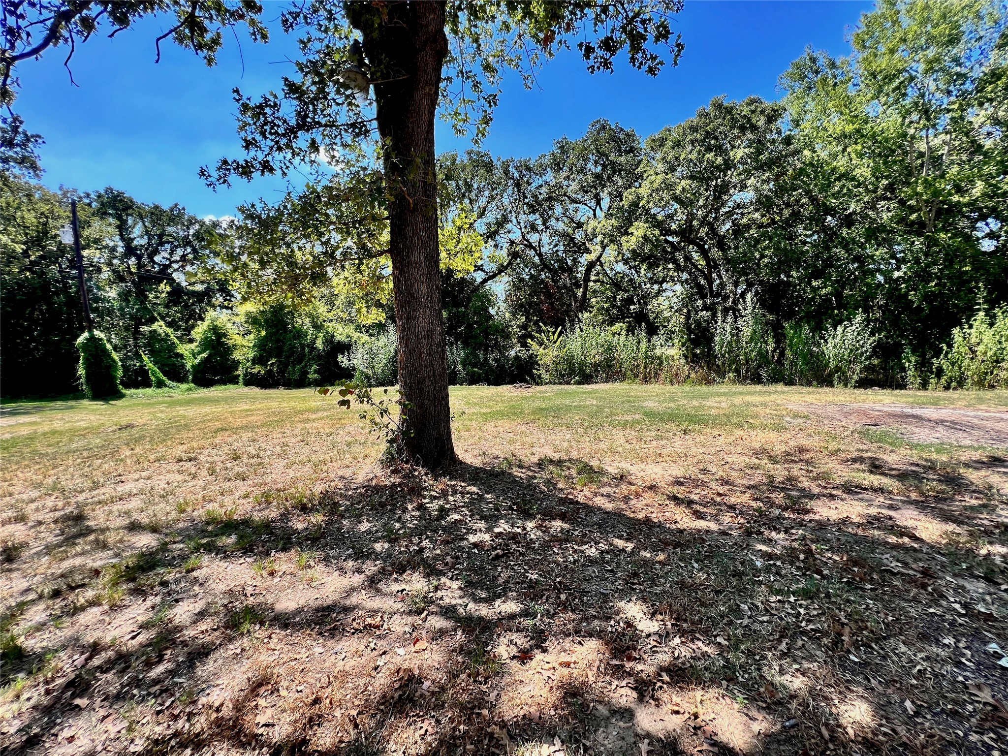 160 Pine Lane