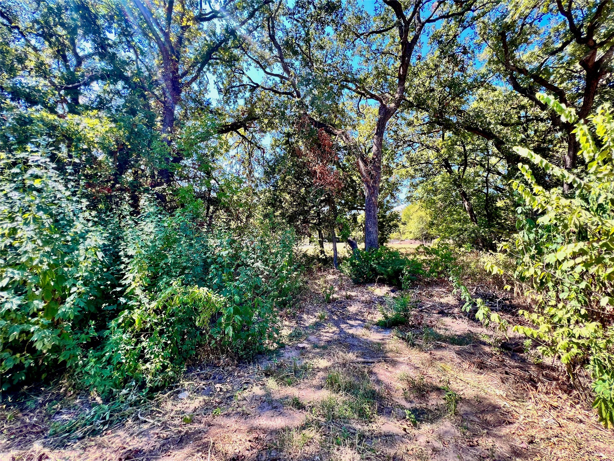 160 Pine Lane