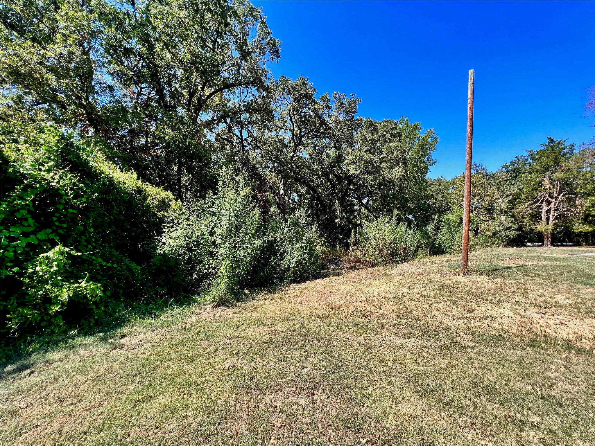 160 Pine Lane