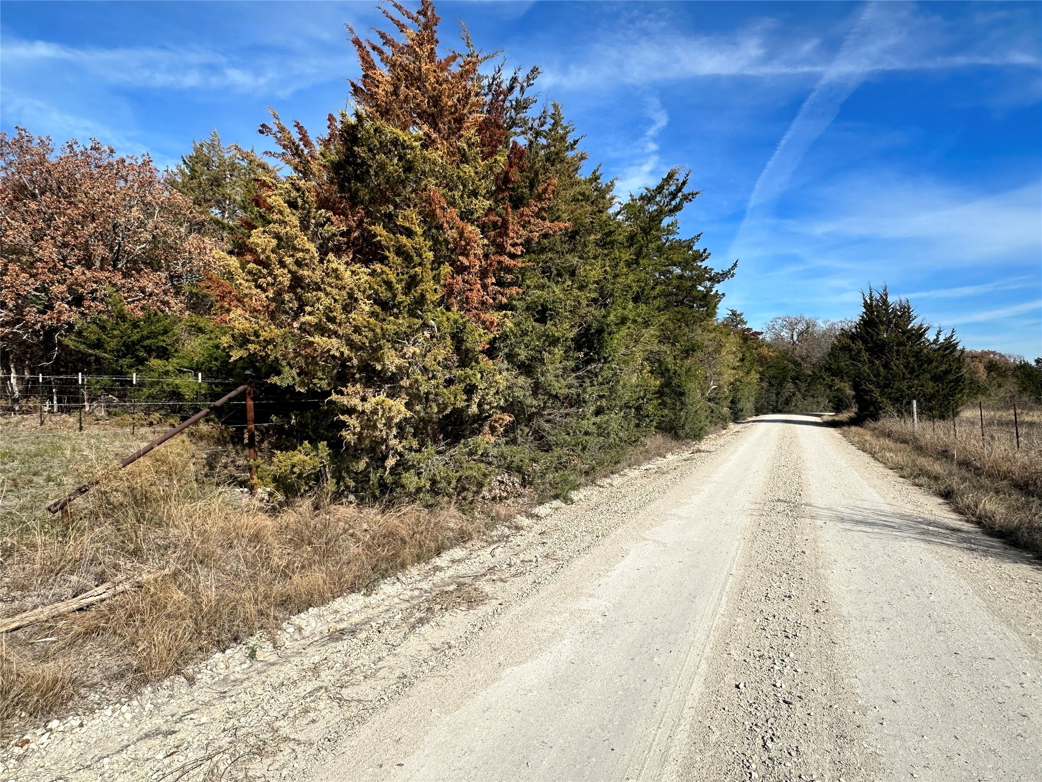 TBD 4.73 Acres NW County Road 2150