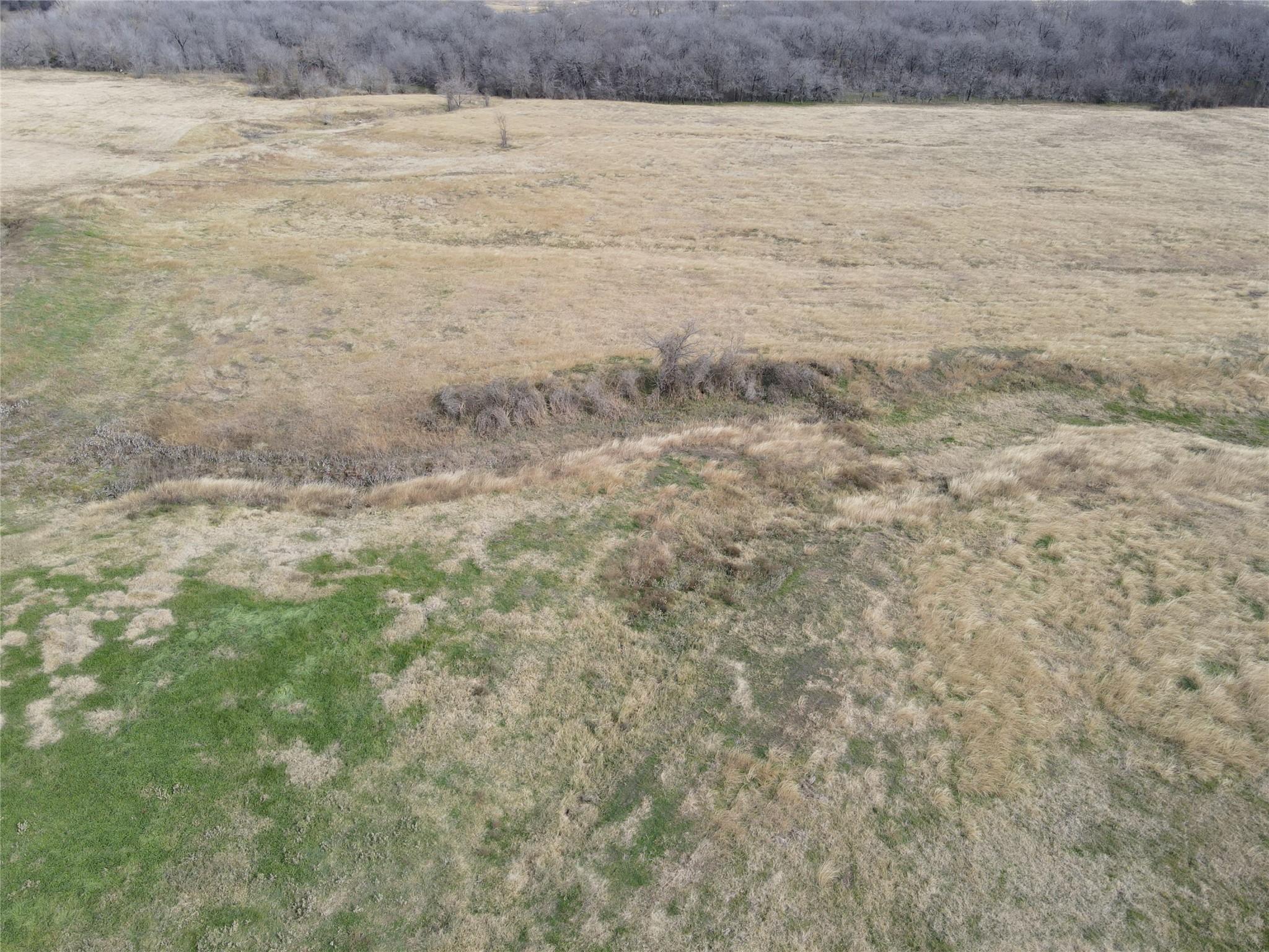 Lot 3 SE CR 2220
