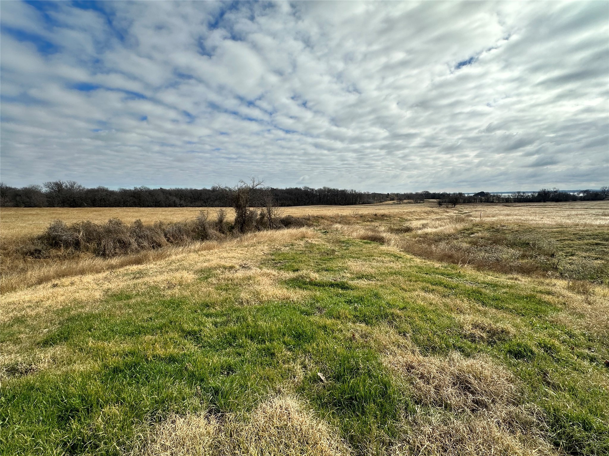 Lot 3 SE CR 2220