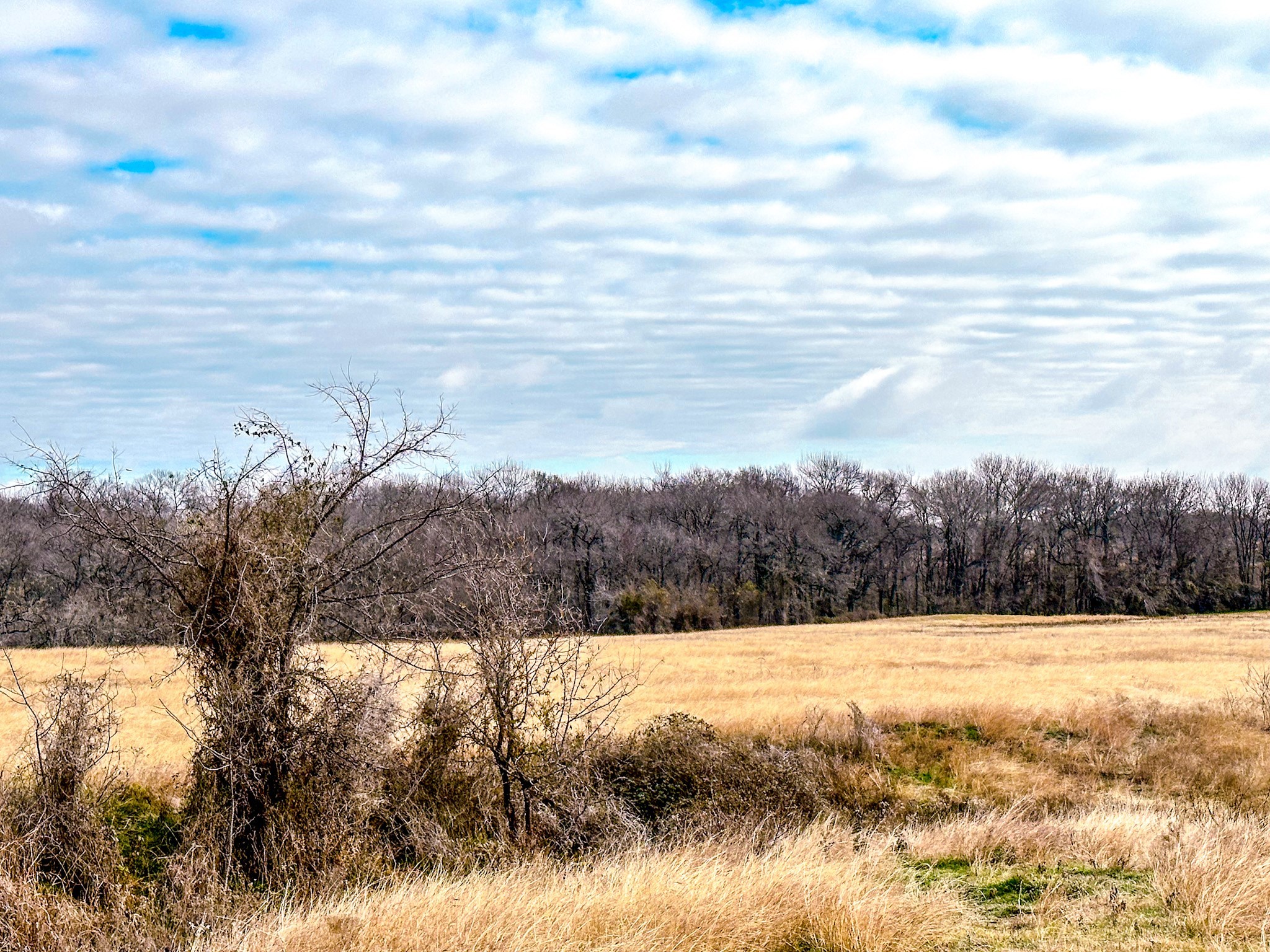 Lot 3 SE CR 2220