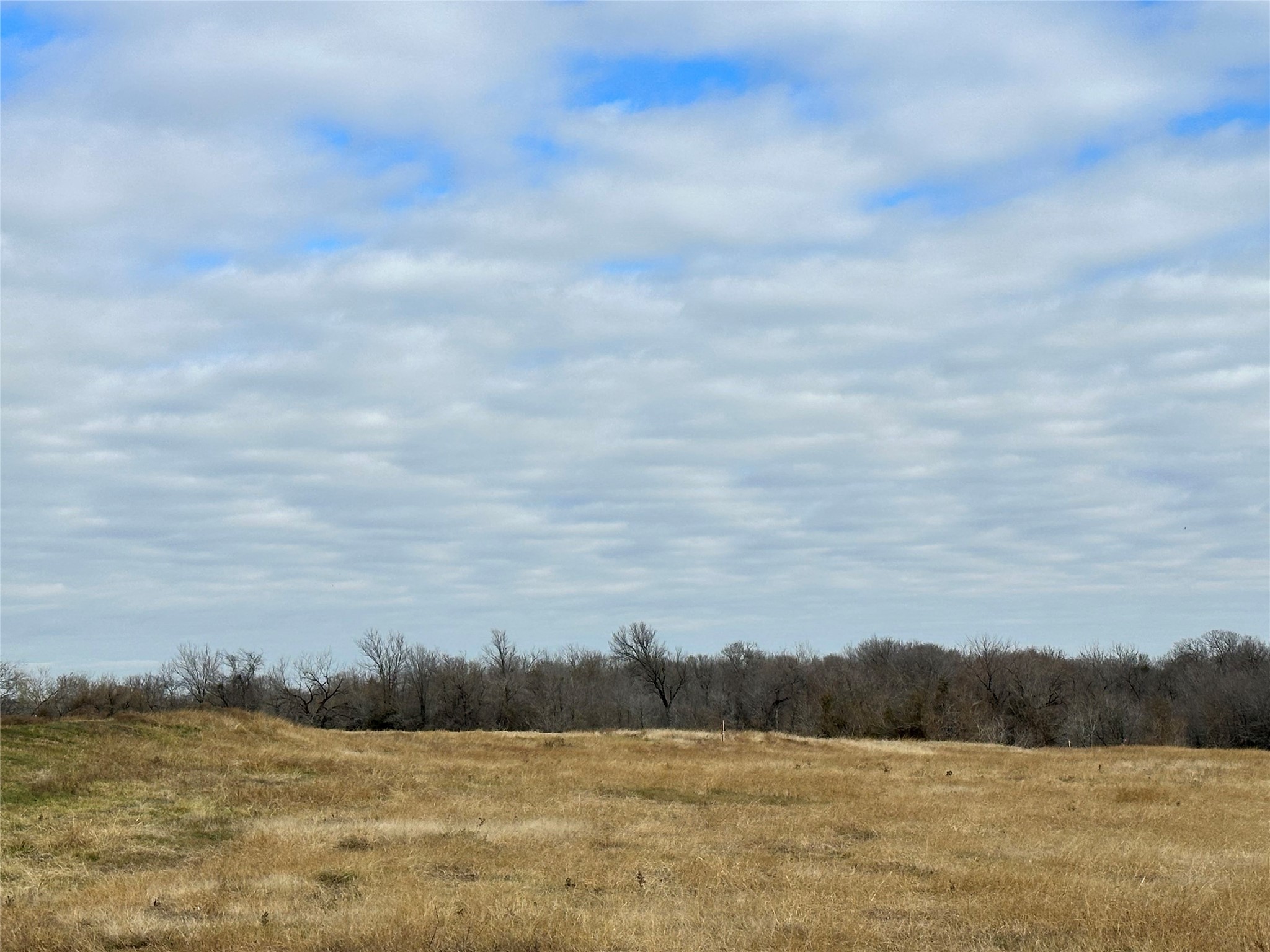 Lot 3 SE CR 2220