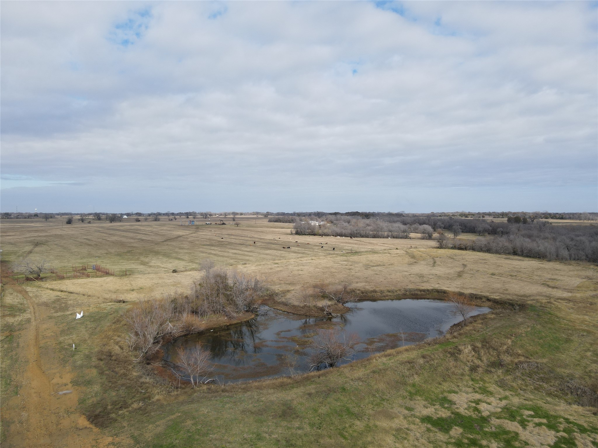 Lot 3 SE CR 2220