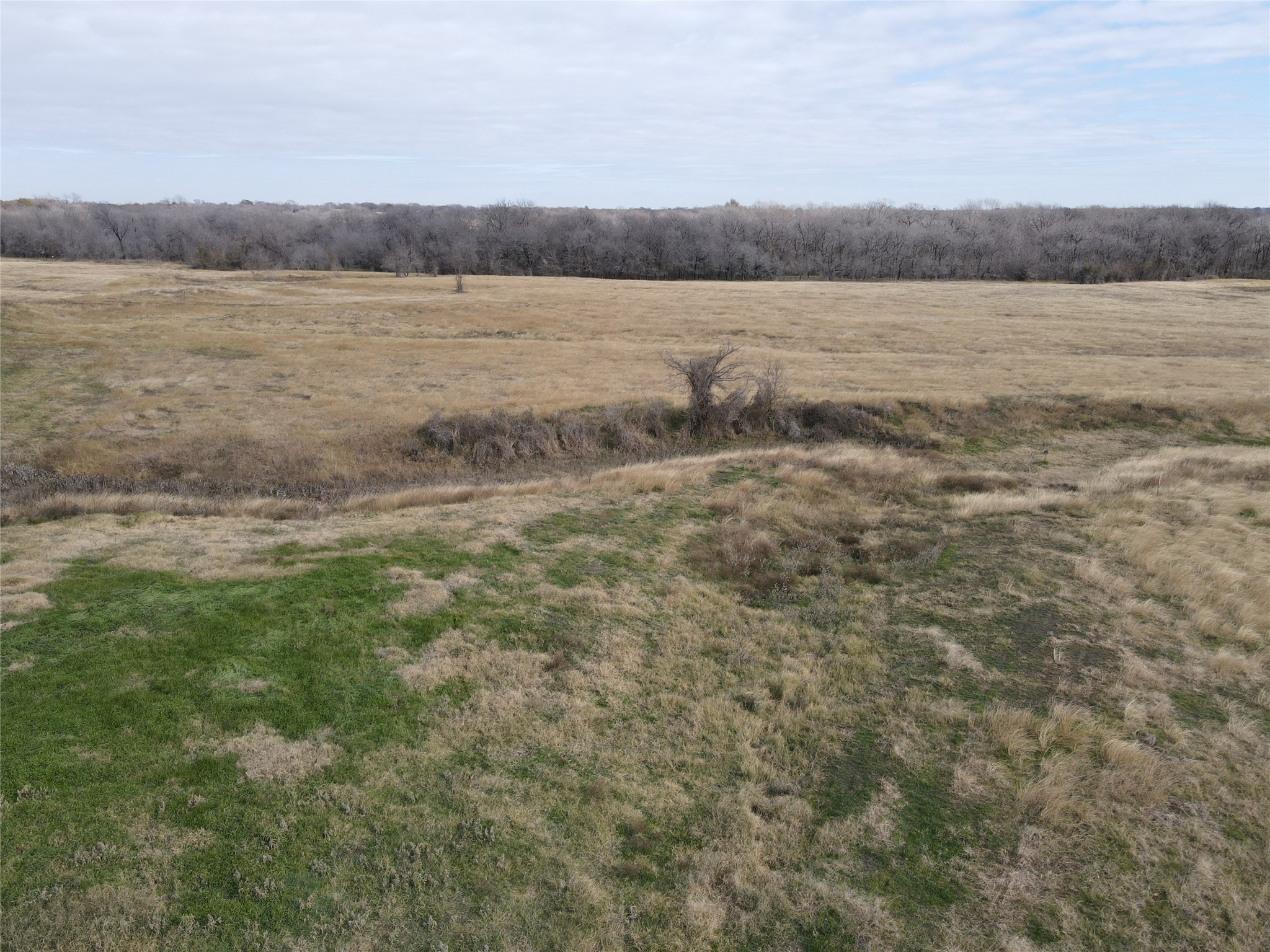 Lot 3 SE CR 2220