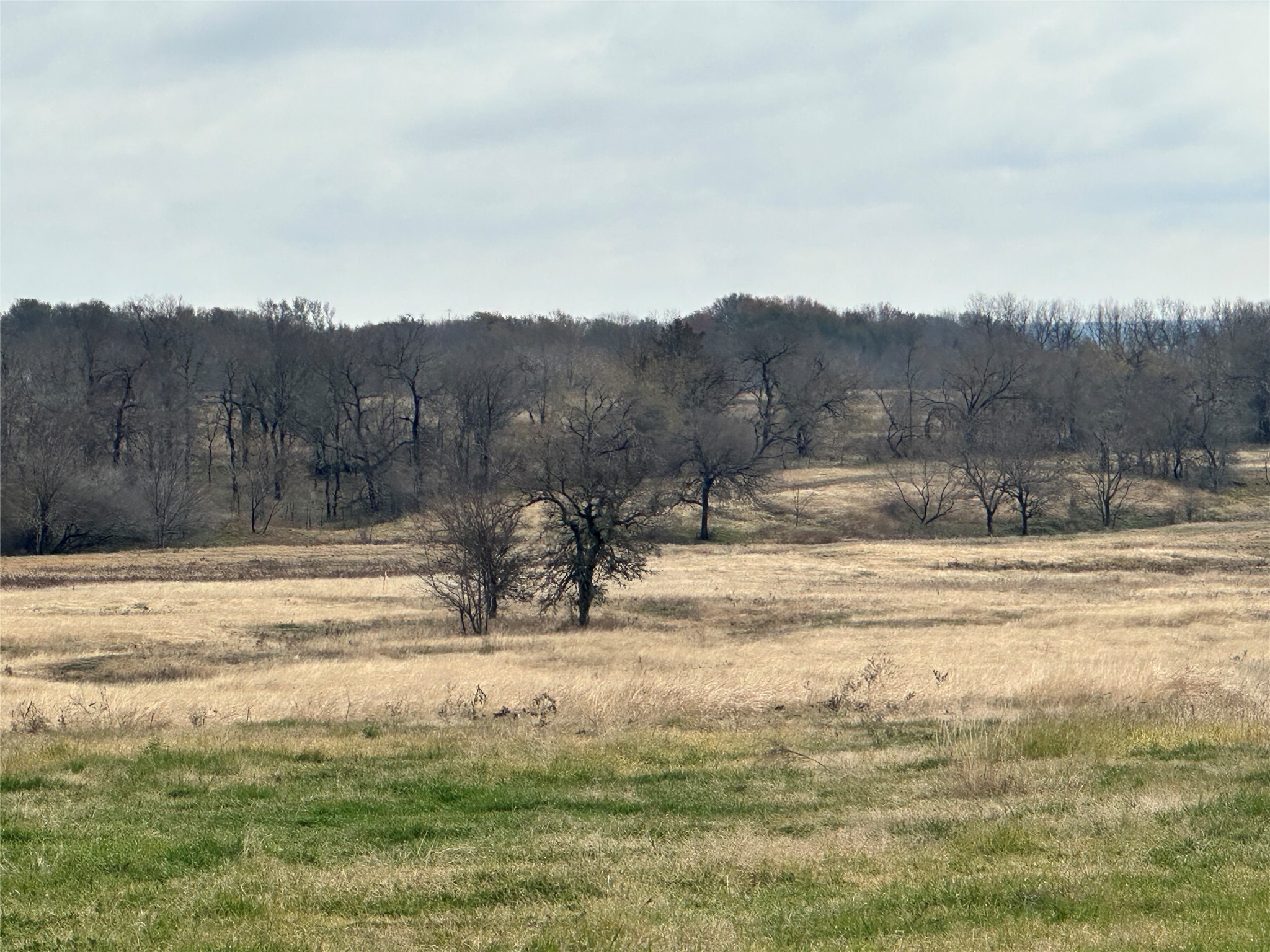 Lot 3 SE CR 2220