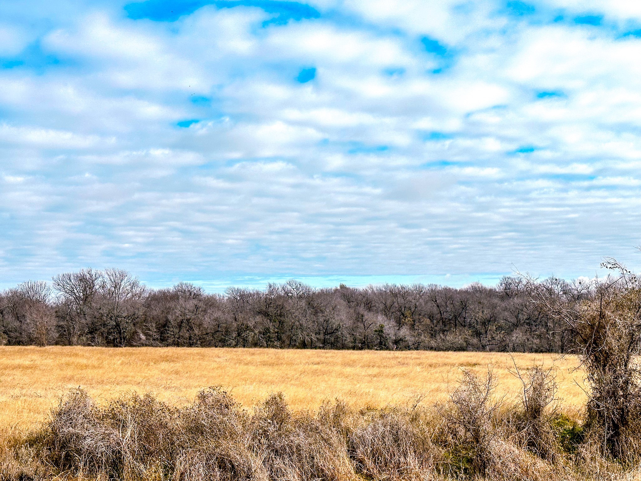 Lot 3 SE CR 2220