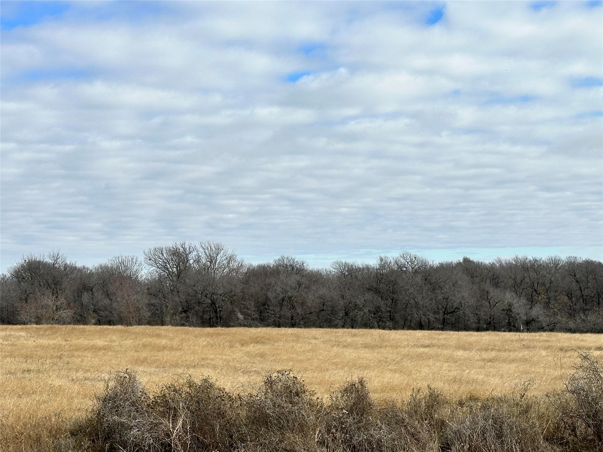 Lot 3 SE CR 2220