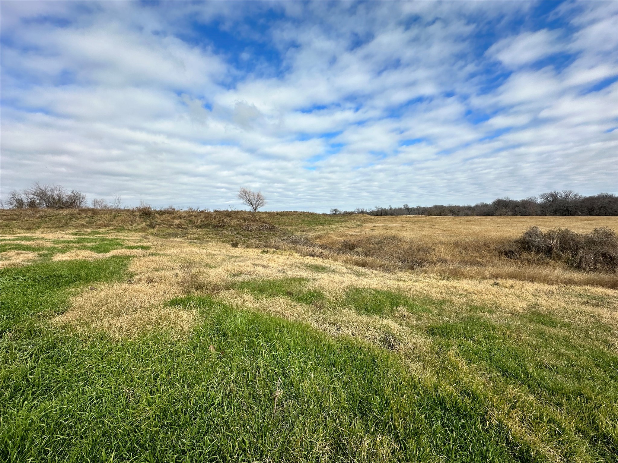 Lot 3 SE CR 2220