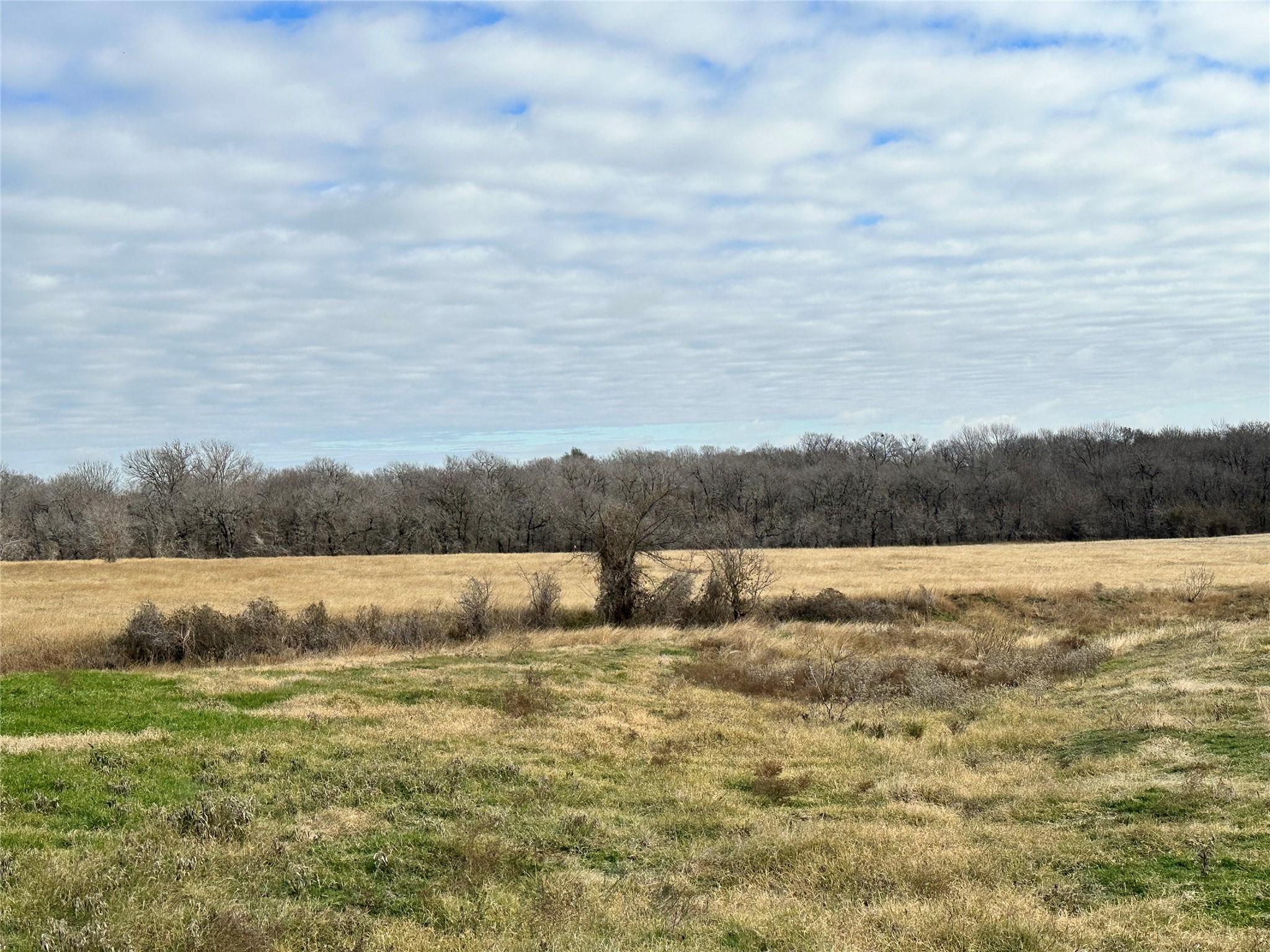Lot 3 SE CR 2220