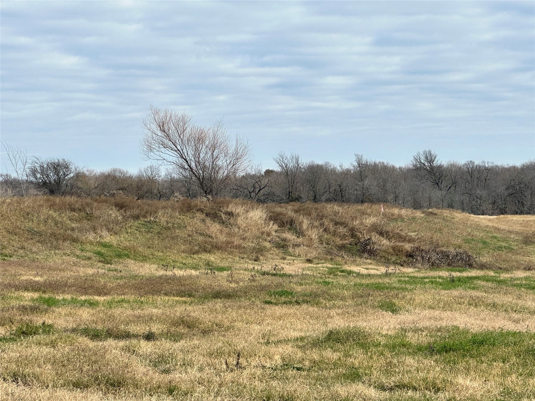 Lot 3 SE CR 2220