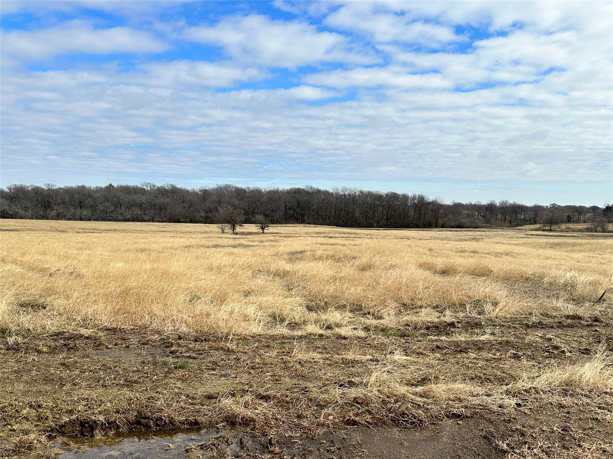 Lots 5-6 SE CR 2220