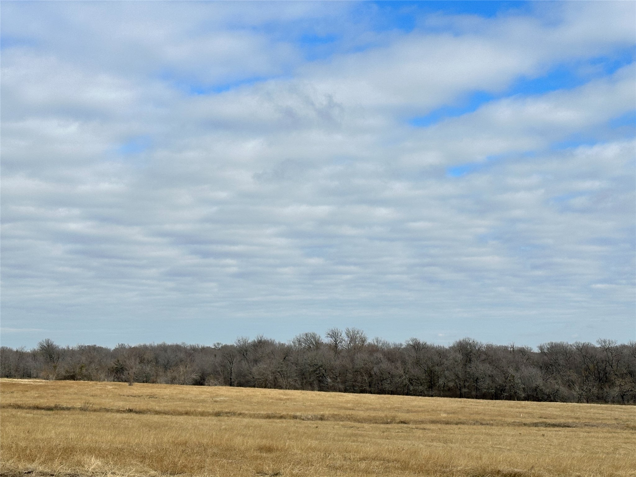 Lots 5-6 SE CR 2220