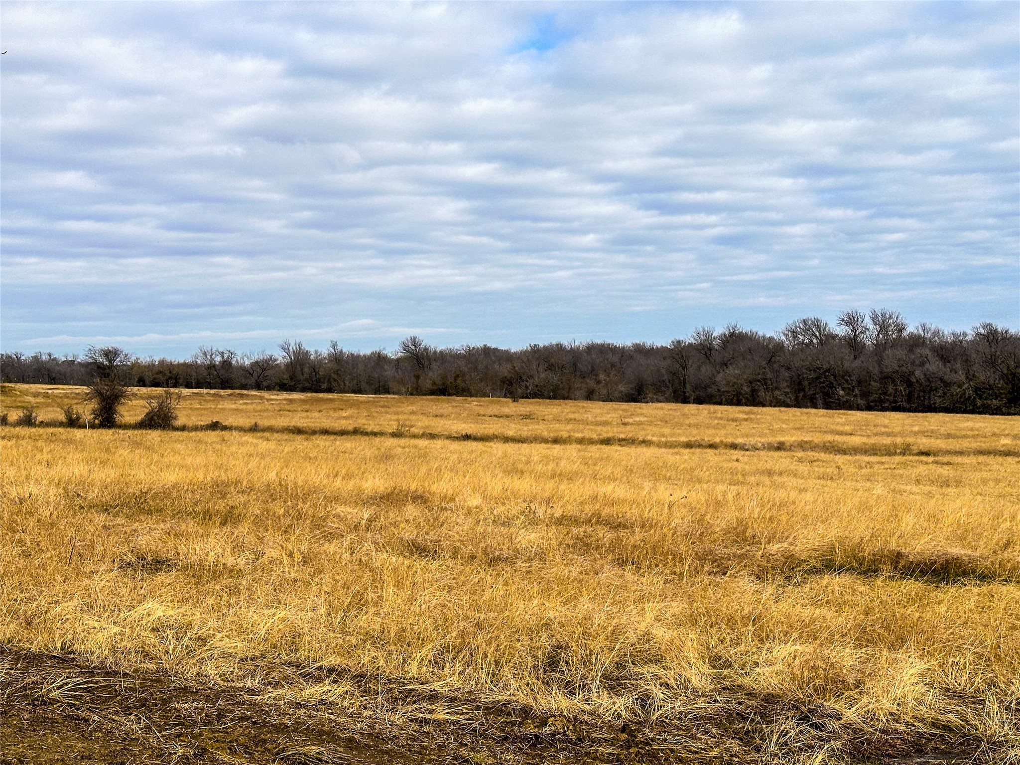 Lots 5-6 SE CR 2220