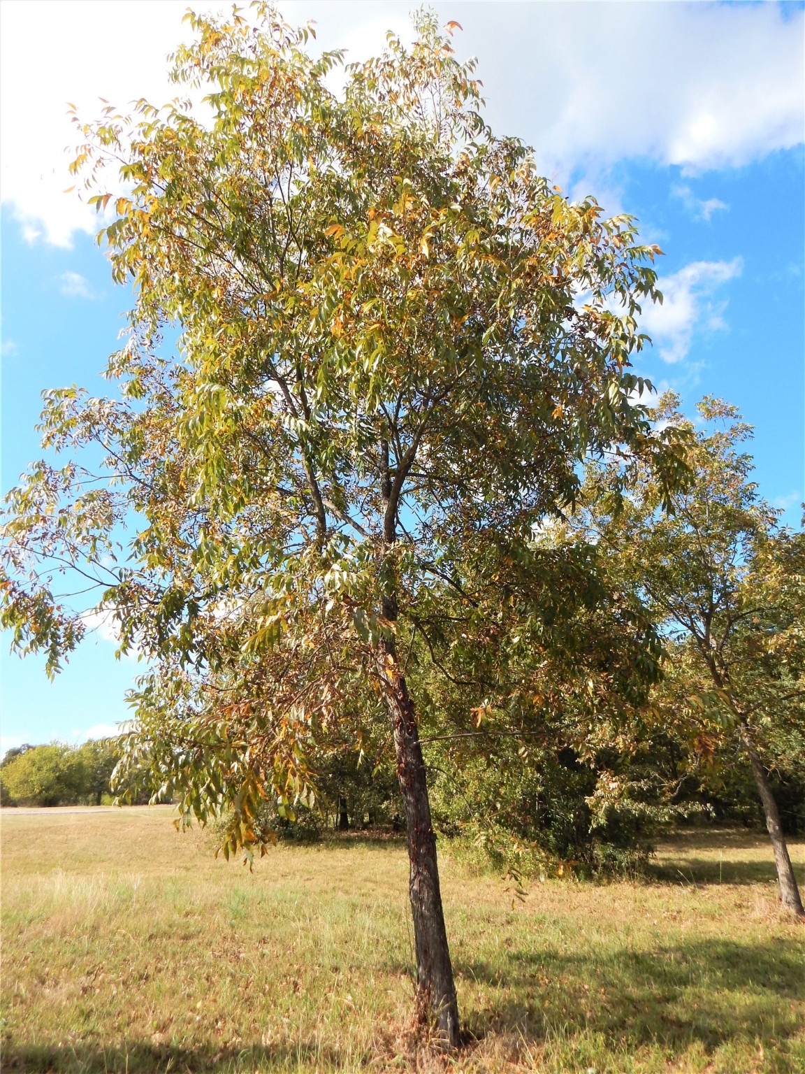 Lot 606 Clear Water Court