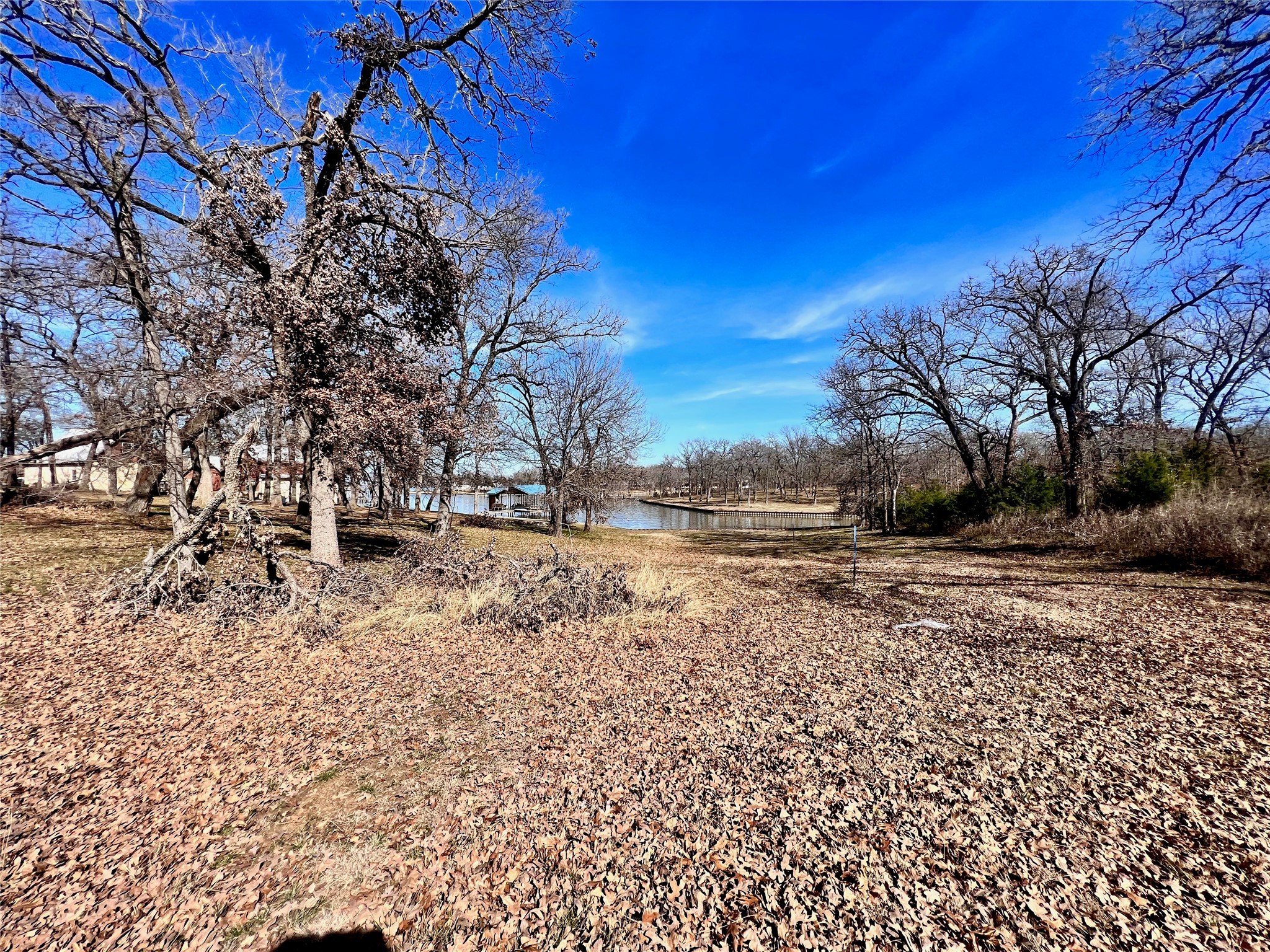 Lot 16R The Woods