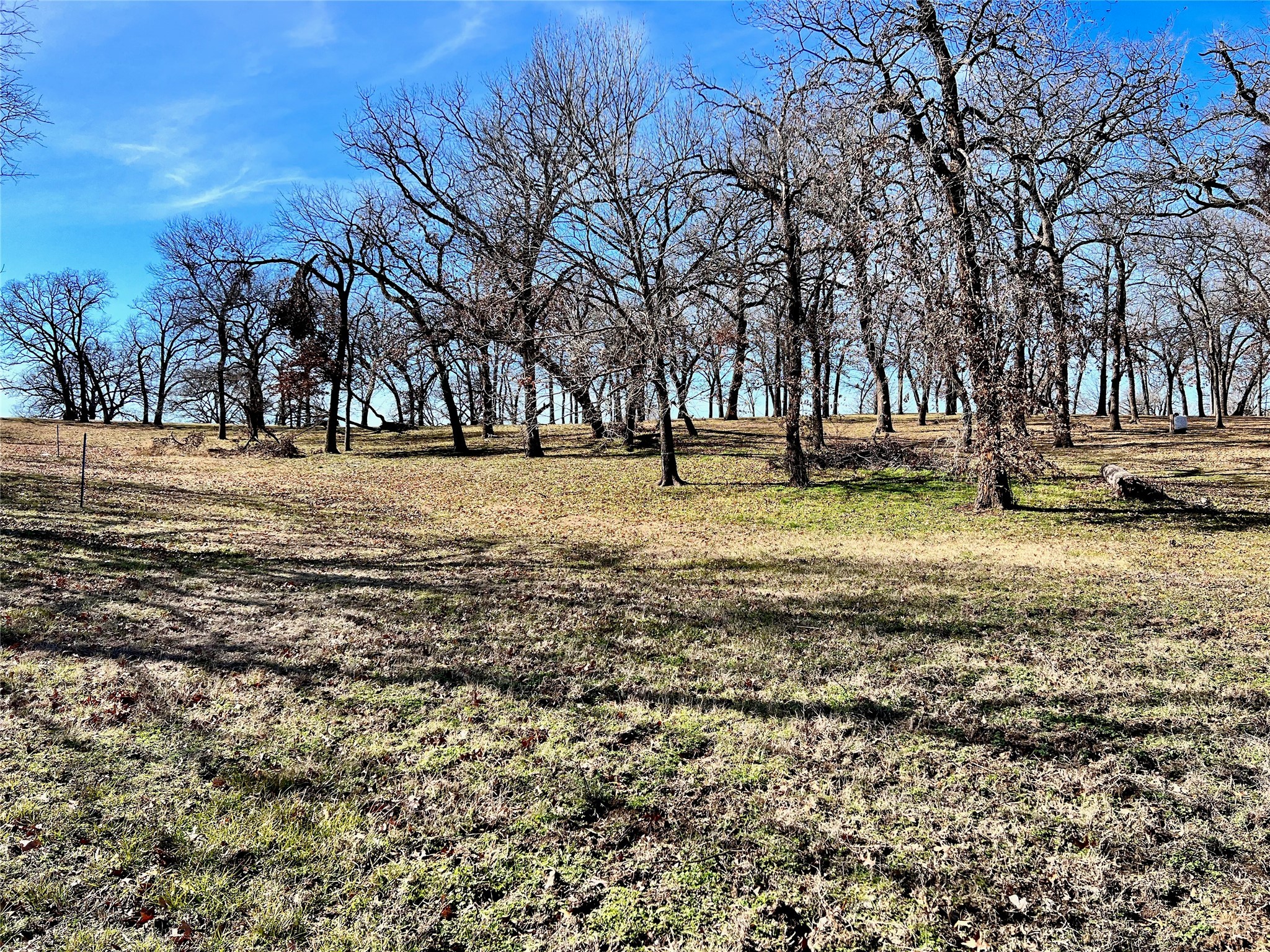 Lot 16R The Woods