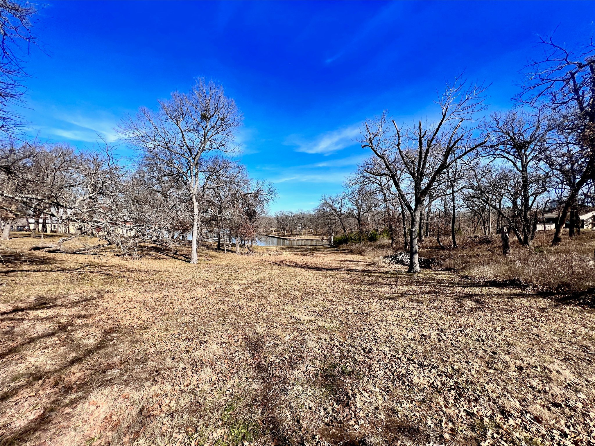 Lot 16R The Woods