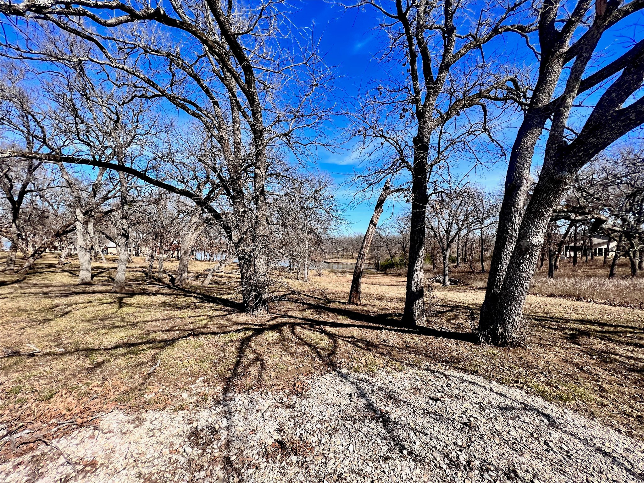Lot 16R The Woods