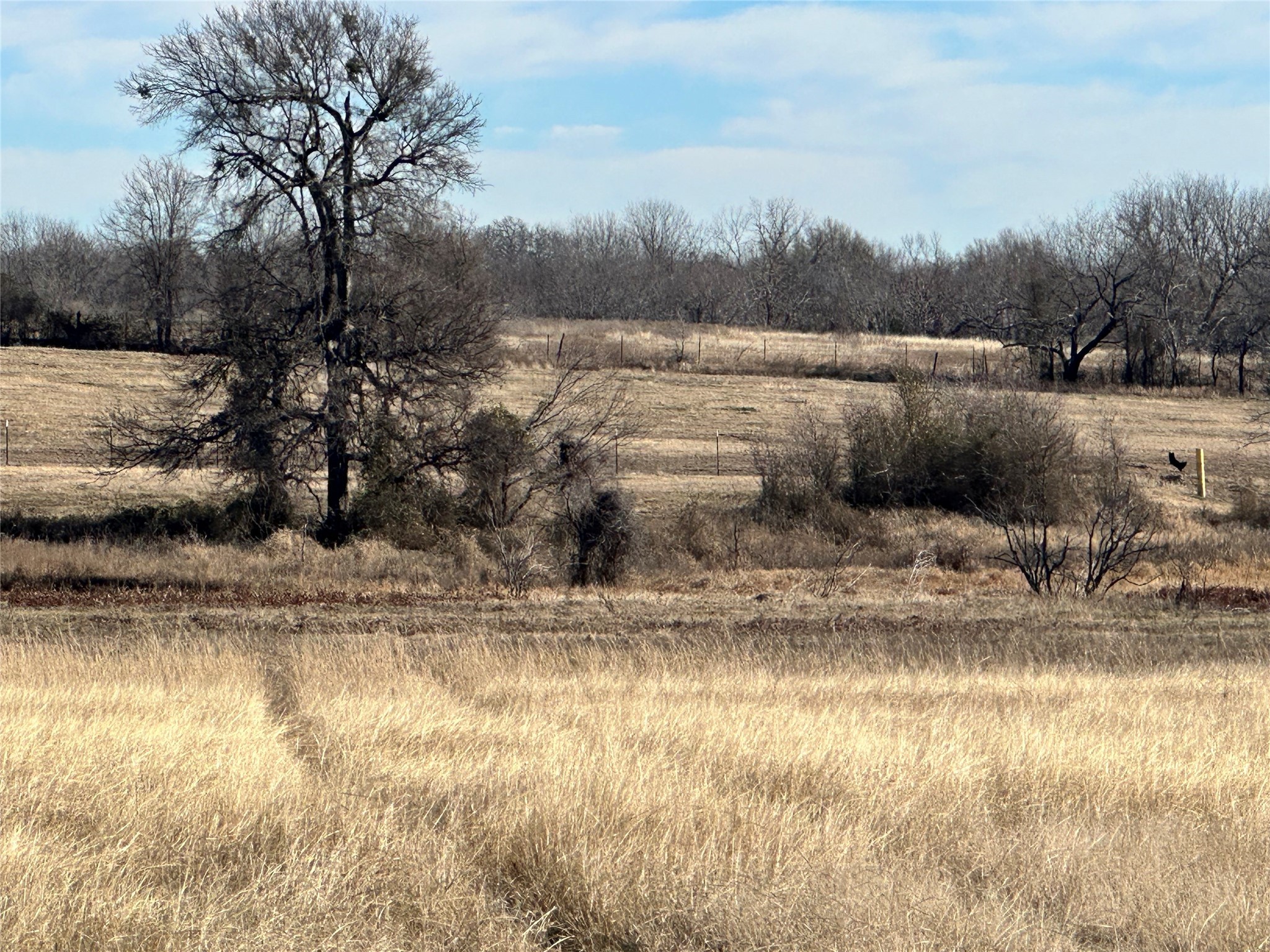 Lot 15 SE CR 2220