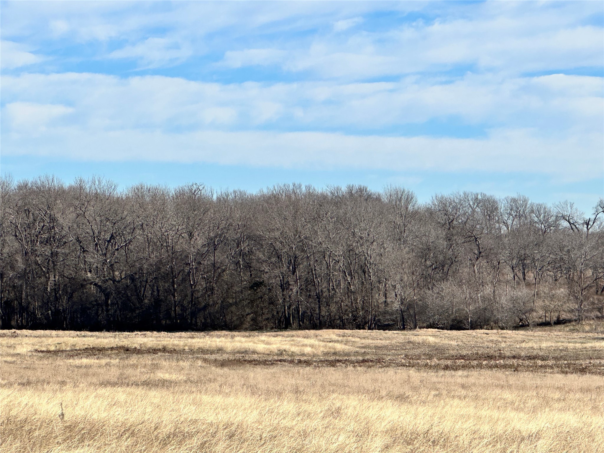 Lot 9 SE CR 2220