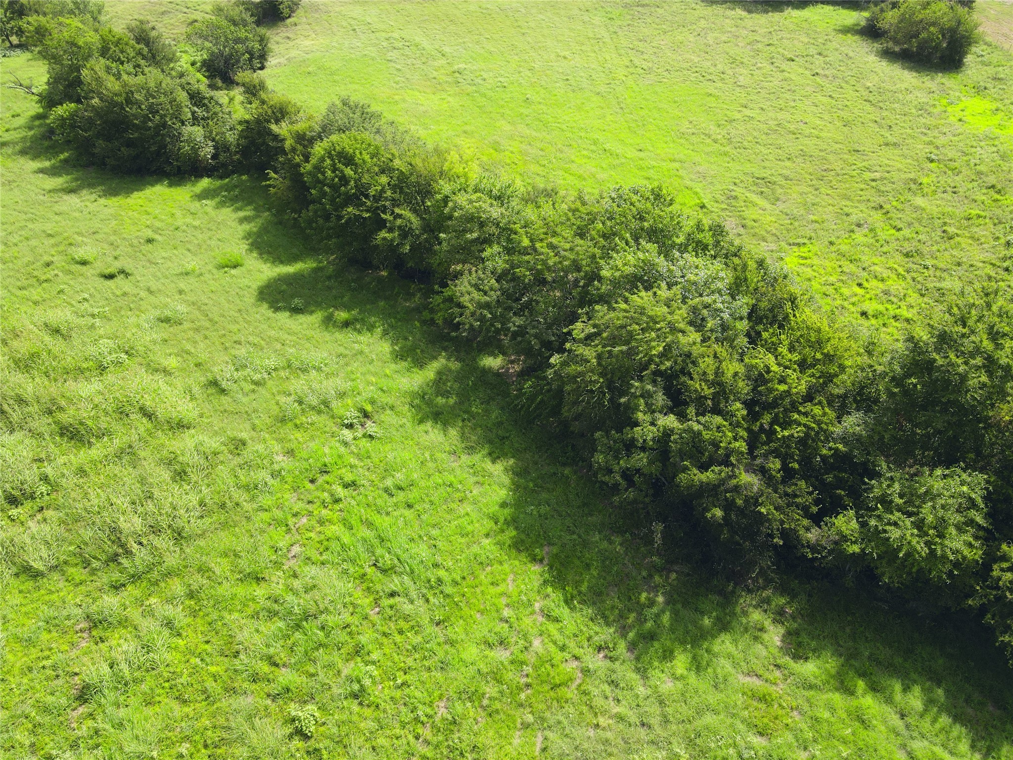 Lot 10 SE CR 2220