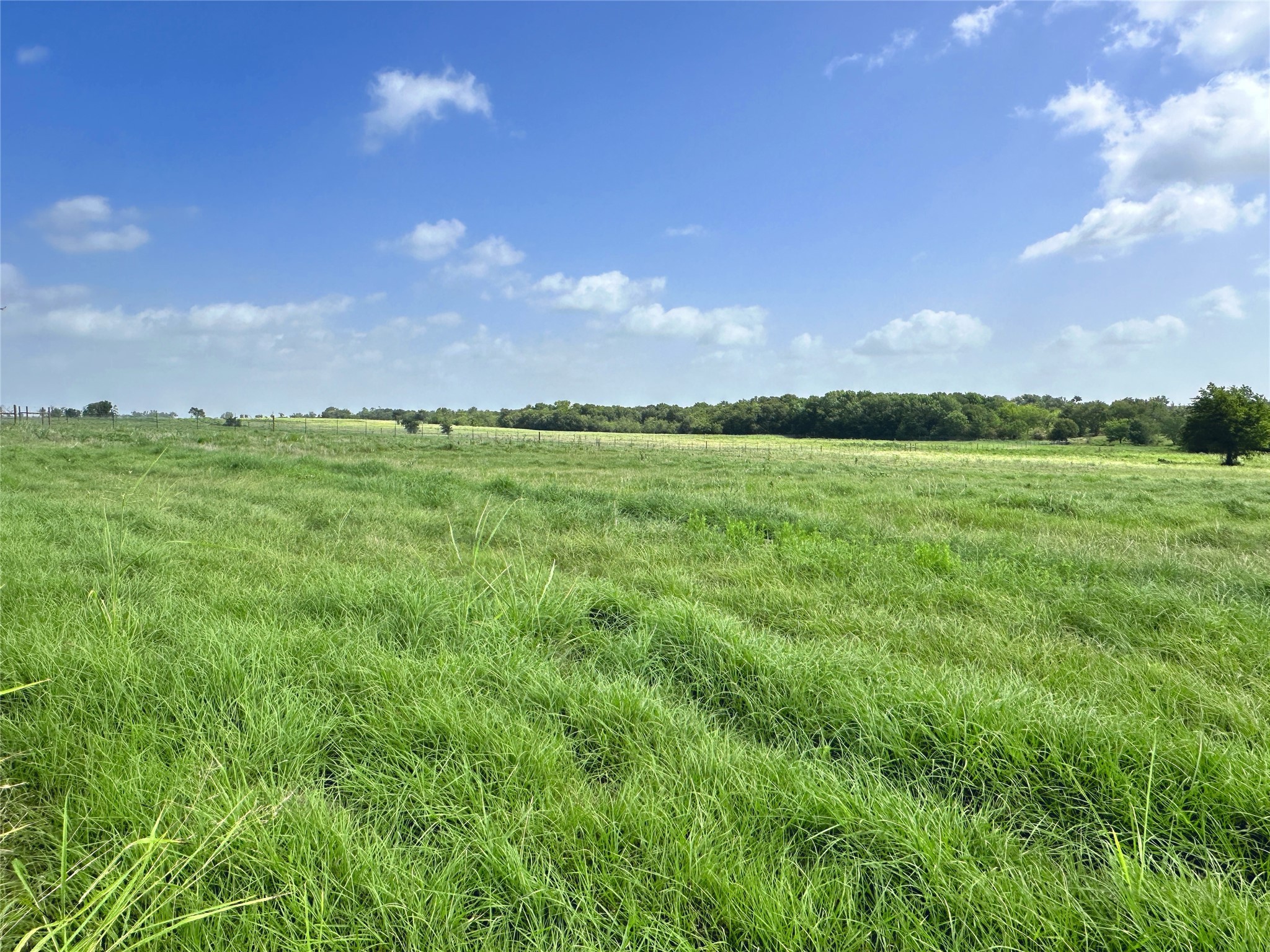 Lot 10 SE CR 2220