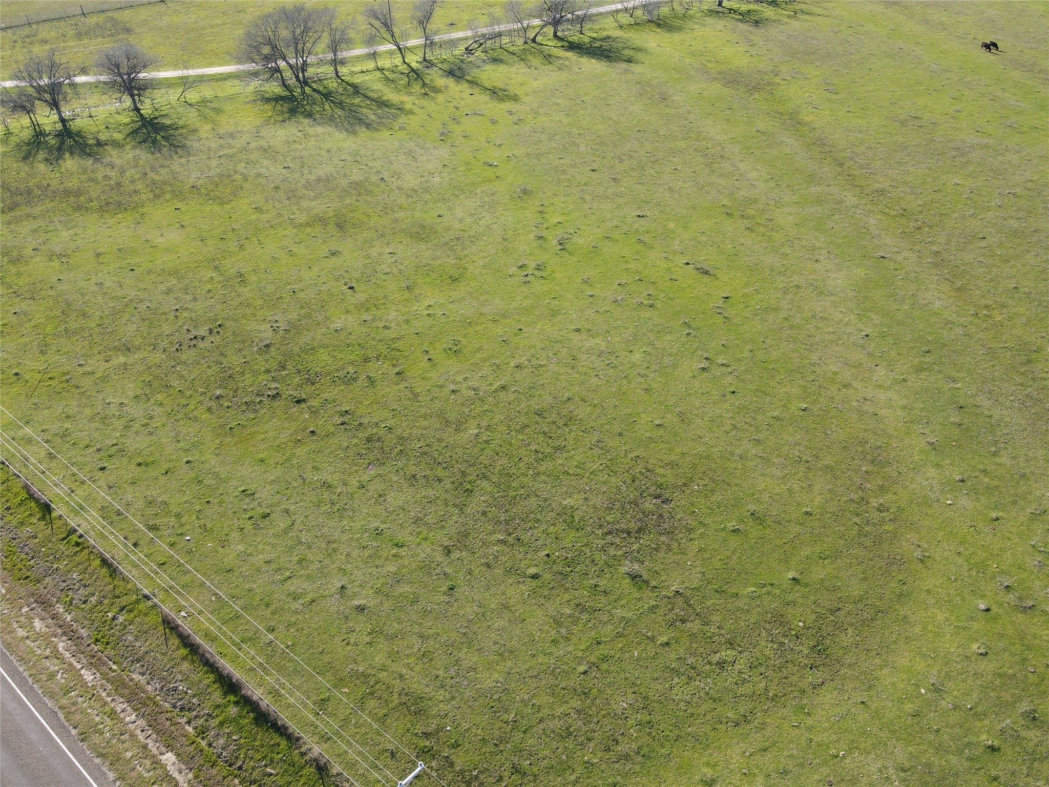TBD 5 Acres FM 246