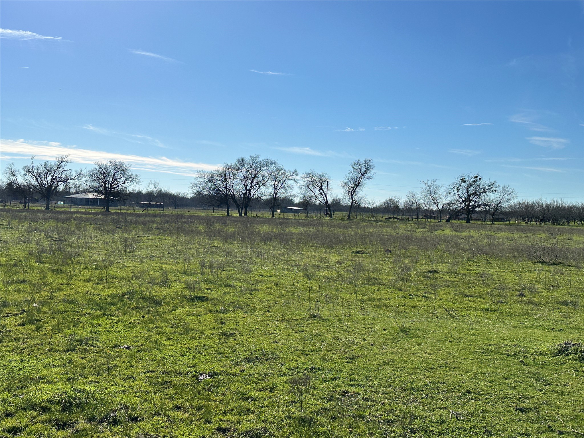 TBD 5 Acres FM 246