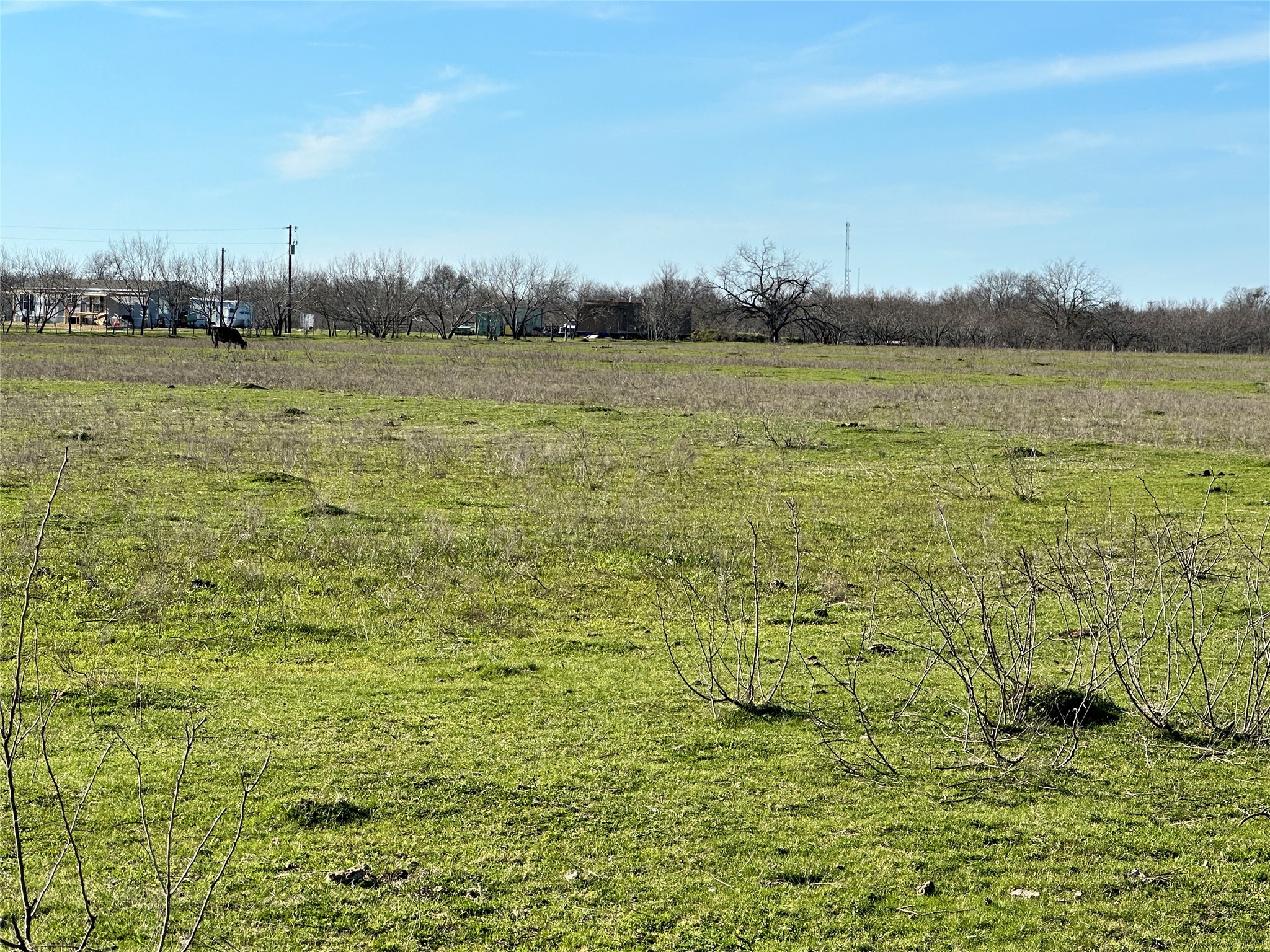 TBD 5 Acres FM 246