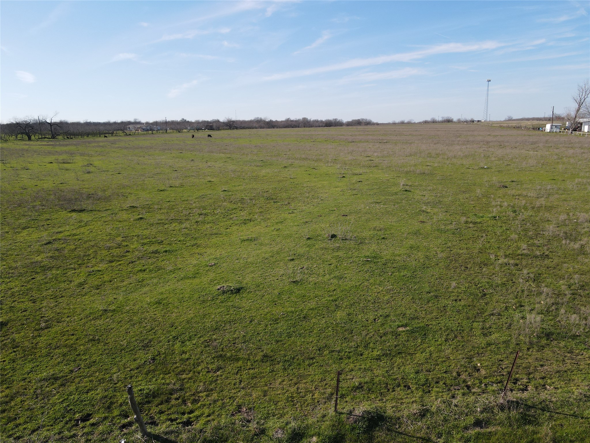 TBD 5 Acres FM 246