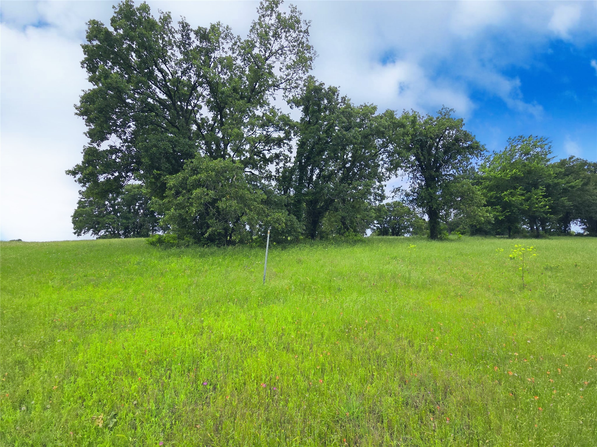 Lot 50 & BS#21 Paradise Cove