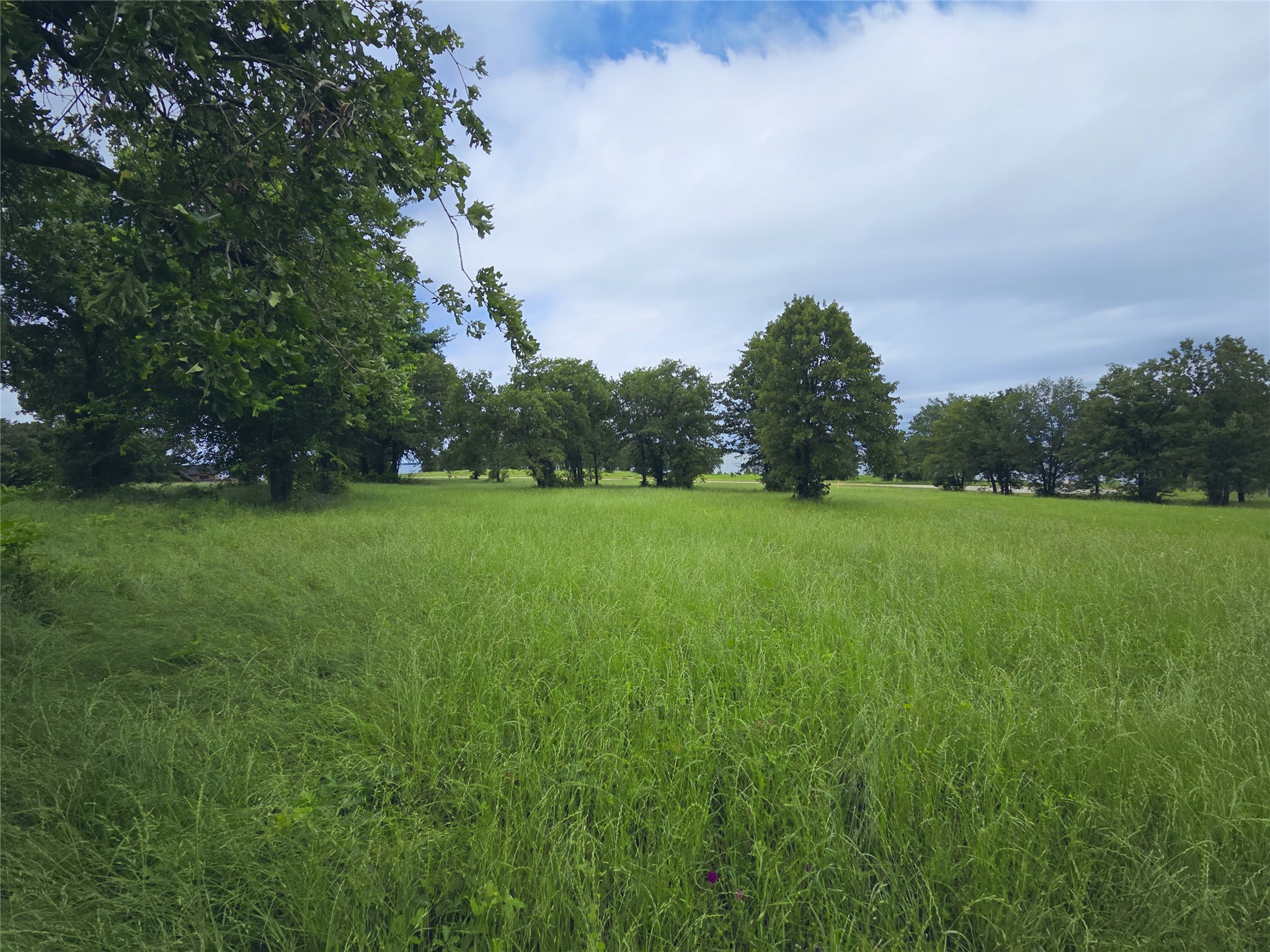 Lot 50 & BS#21 Paradise Cove